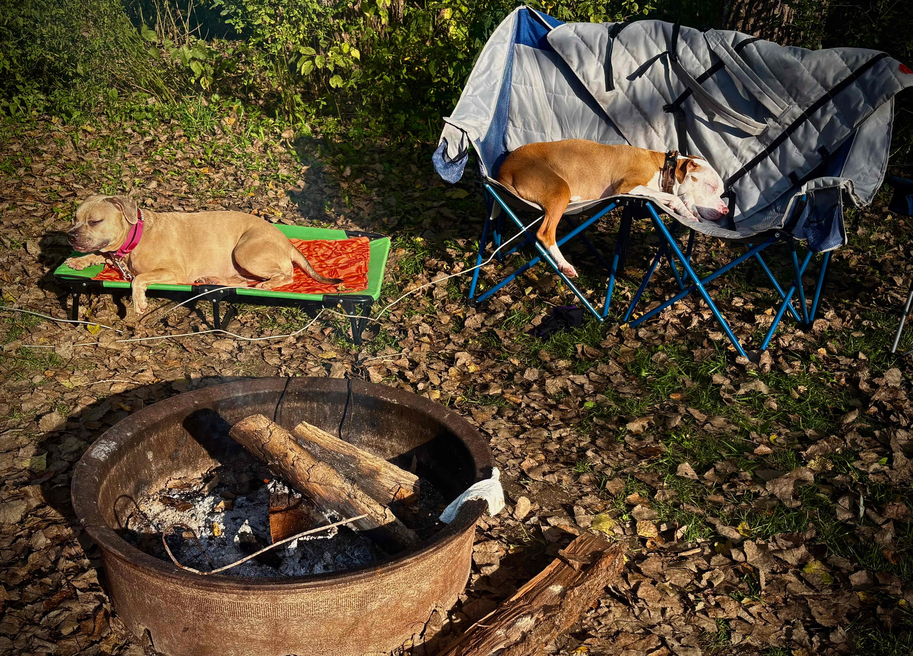 My Babies…Maya and Colton Enjoying Camp Life:)