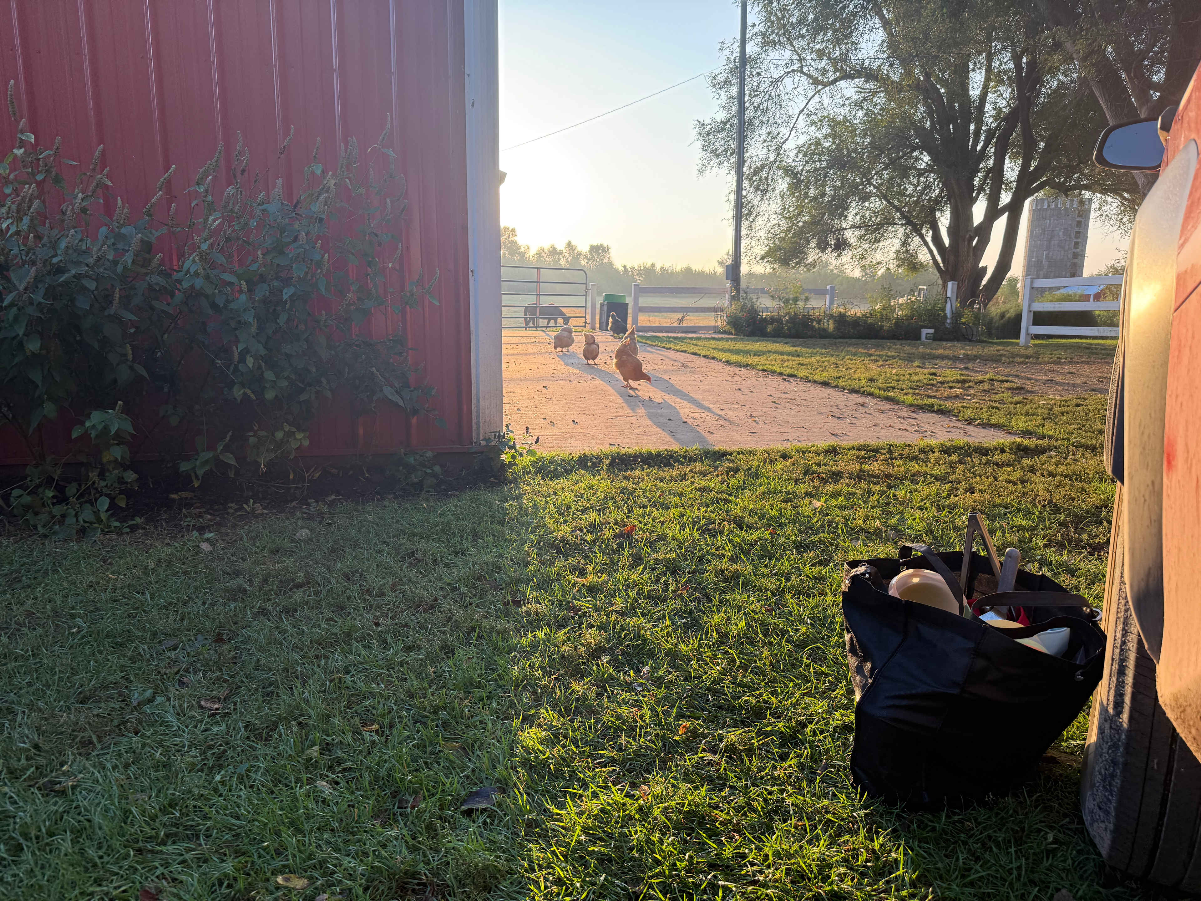 Downhome Country Farm