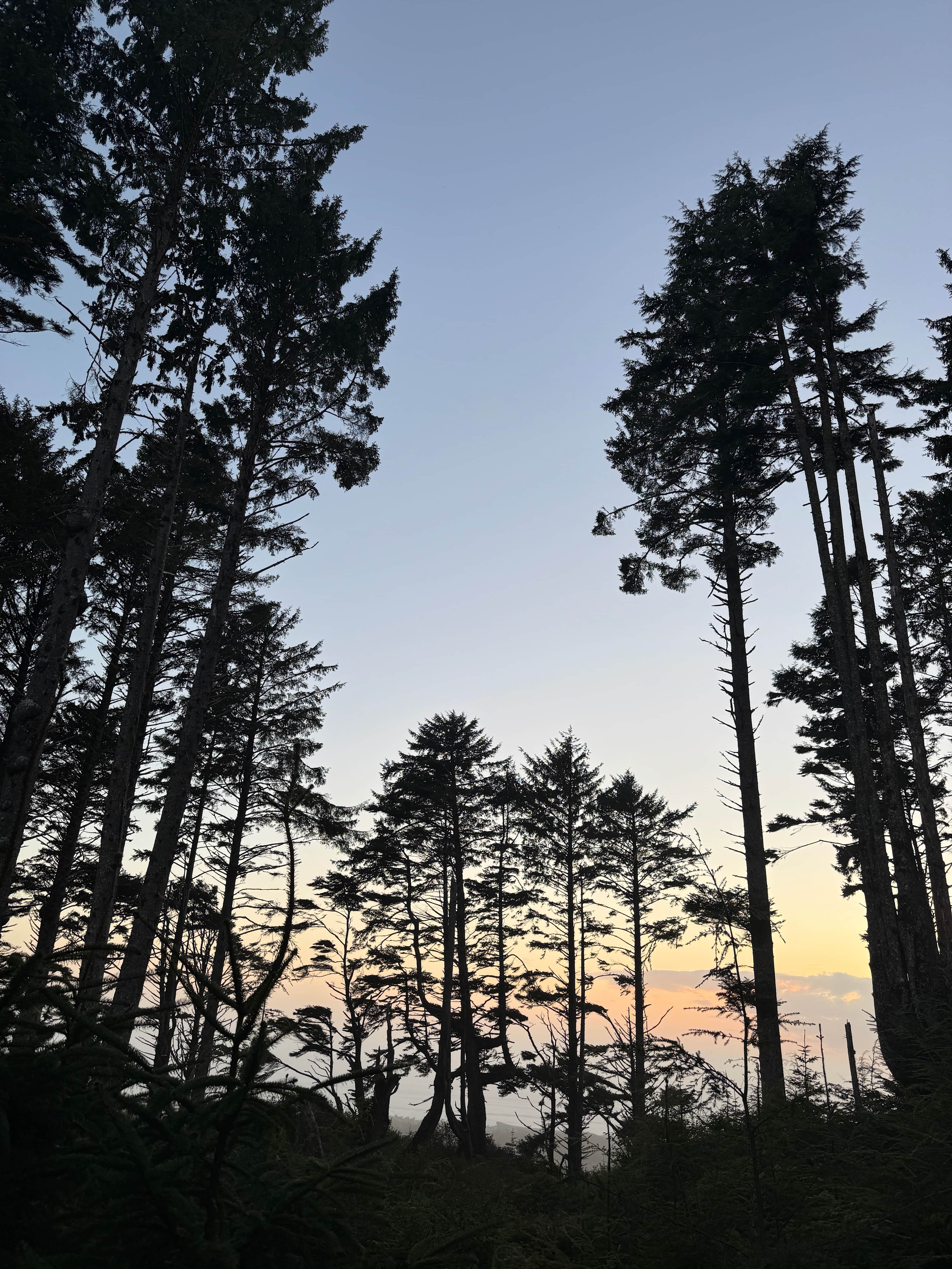 Wild WA Coast Lookout ($75 - $125)