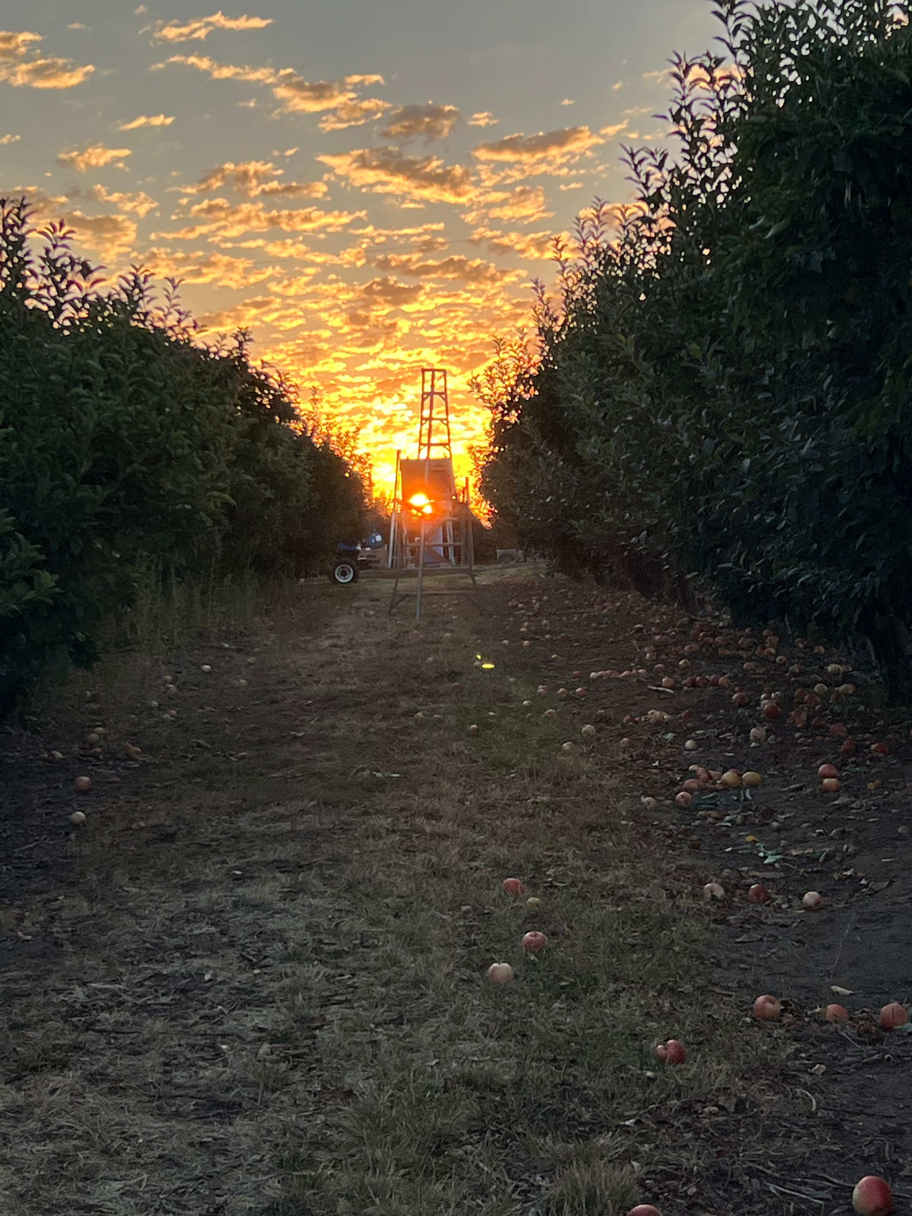 Hidden Acres Orchards