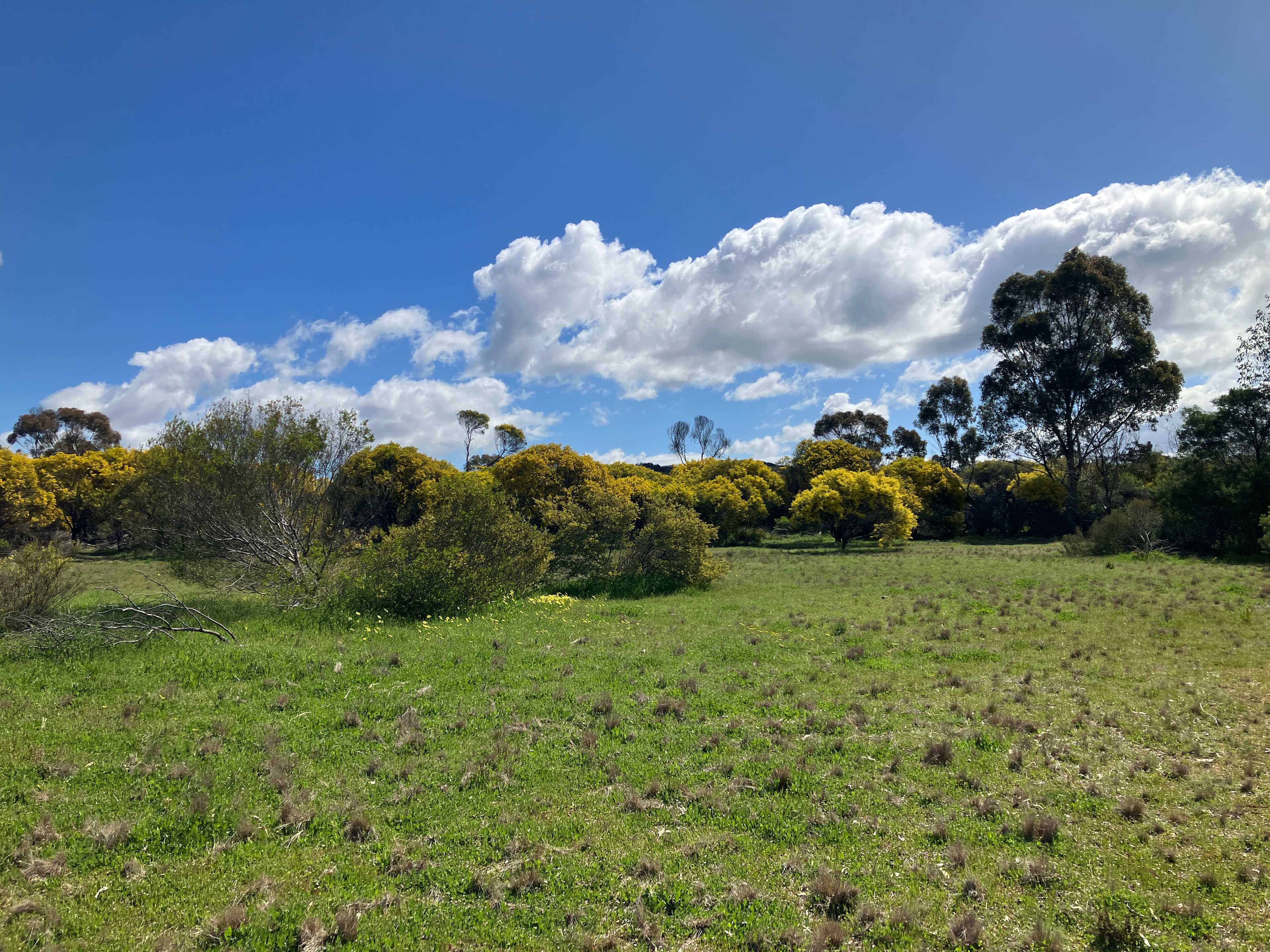 Wetlands - Gatjin Dja