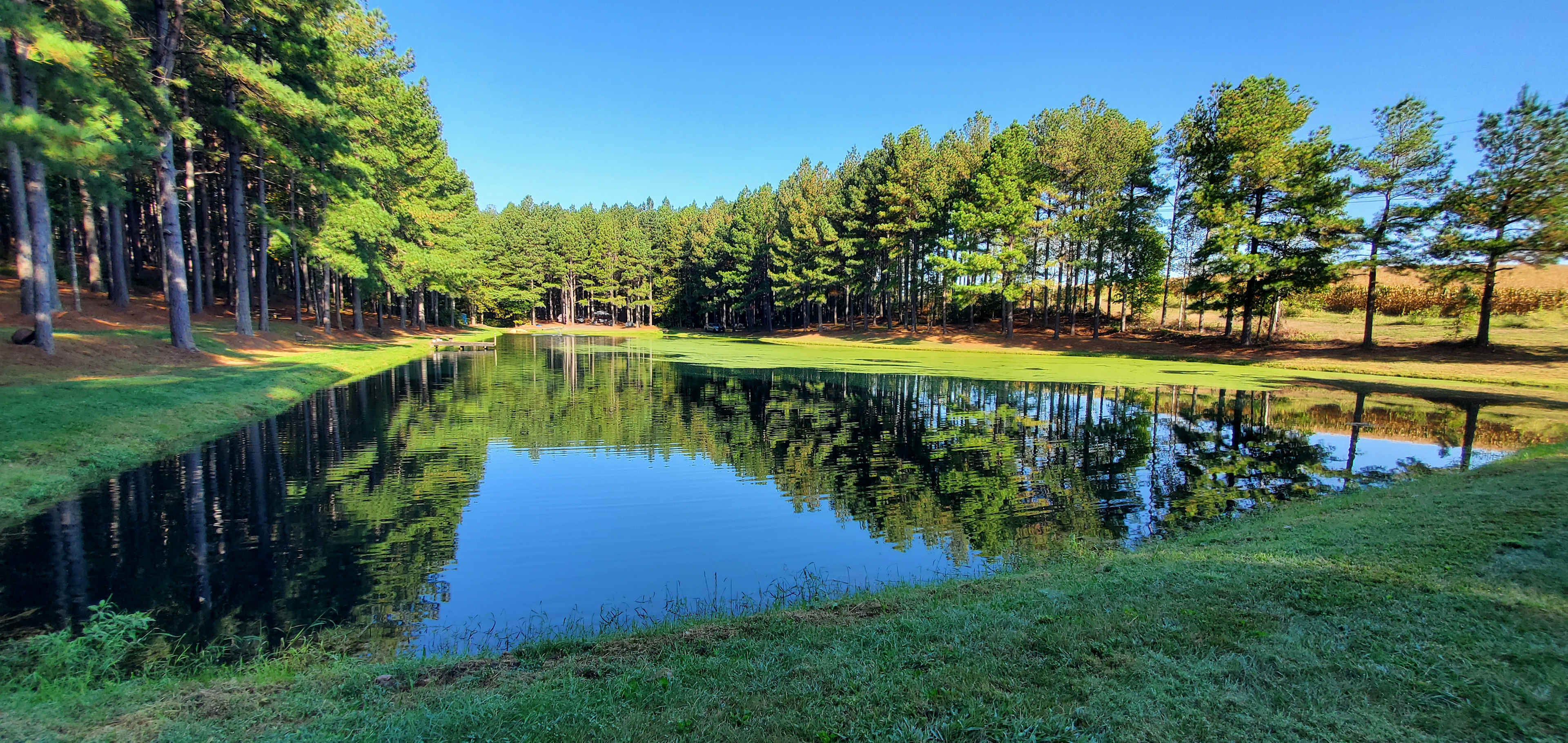 Peaceful Meadows Farm