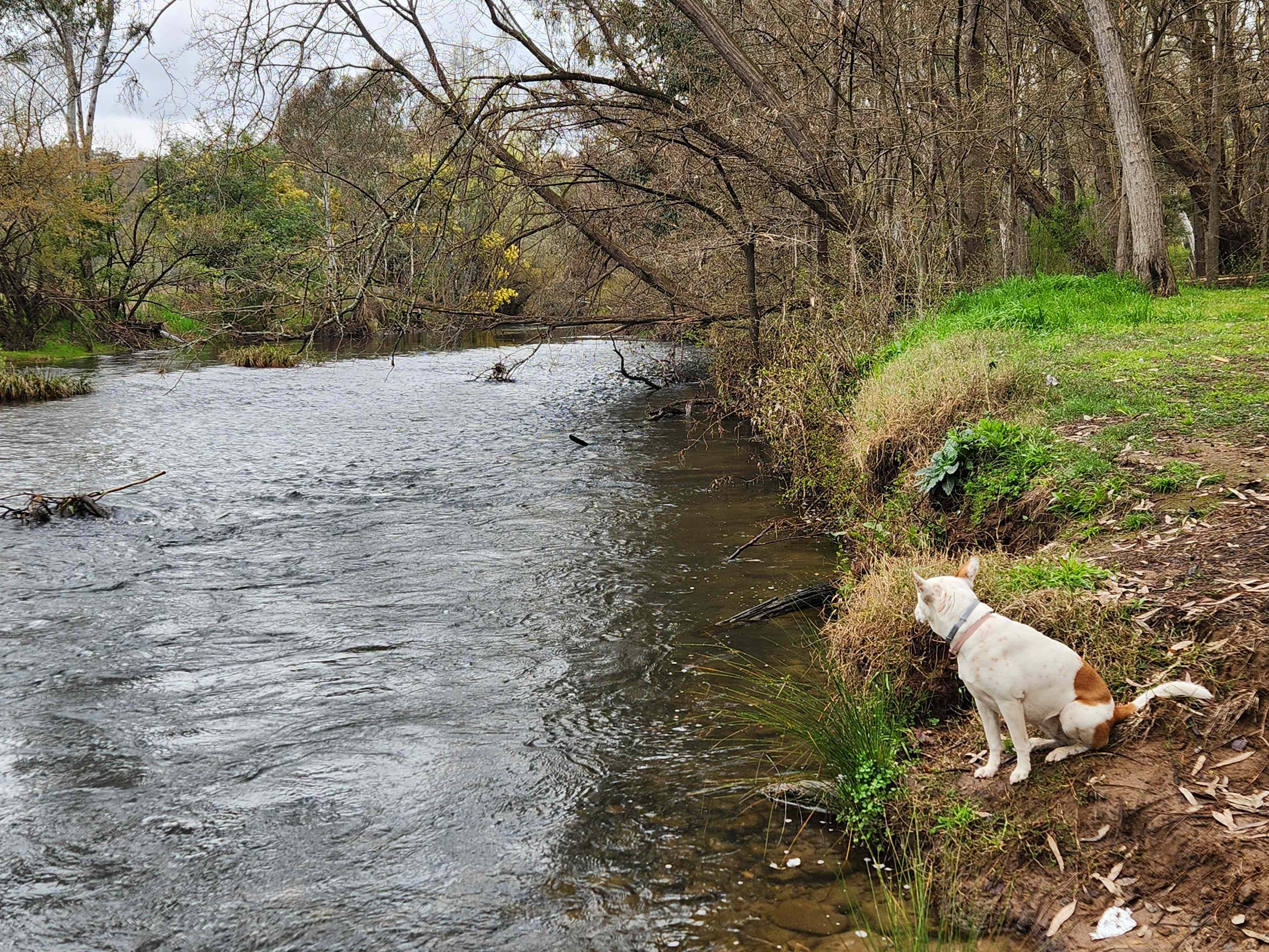 Riverside King Valley
