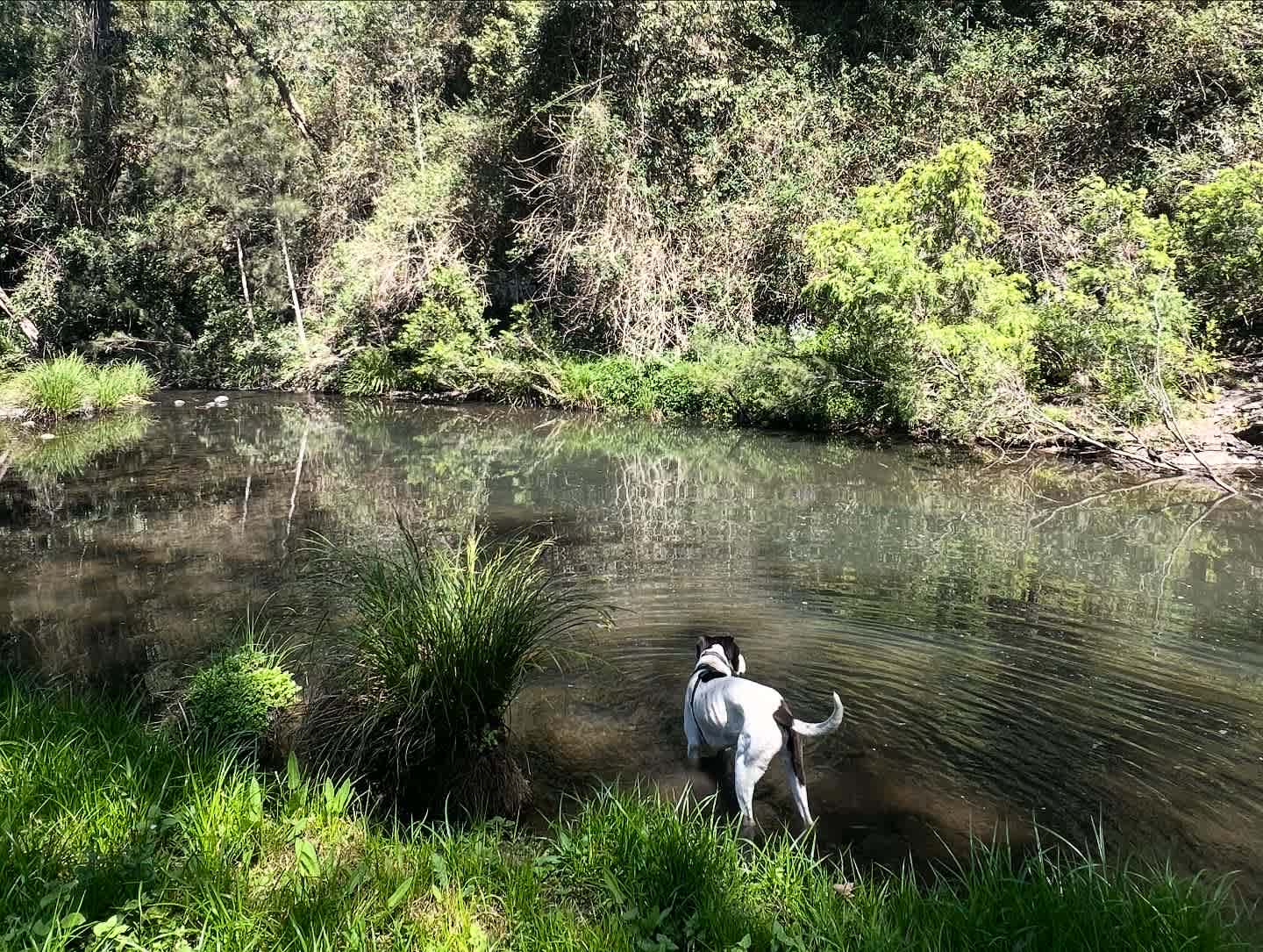 Hidden Valley Camping and Tea Gardens