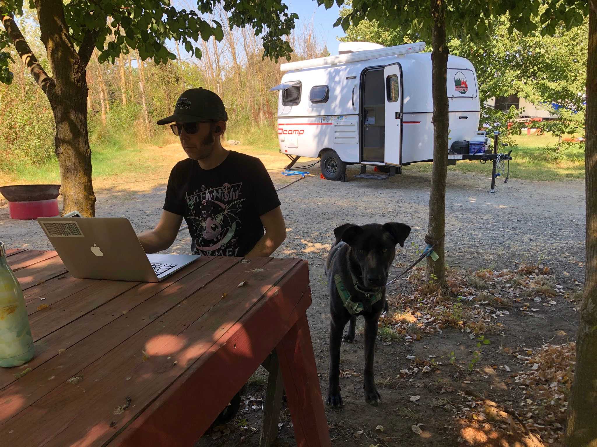 The Foxes  Family Farm