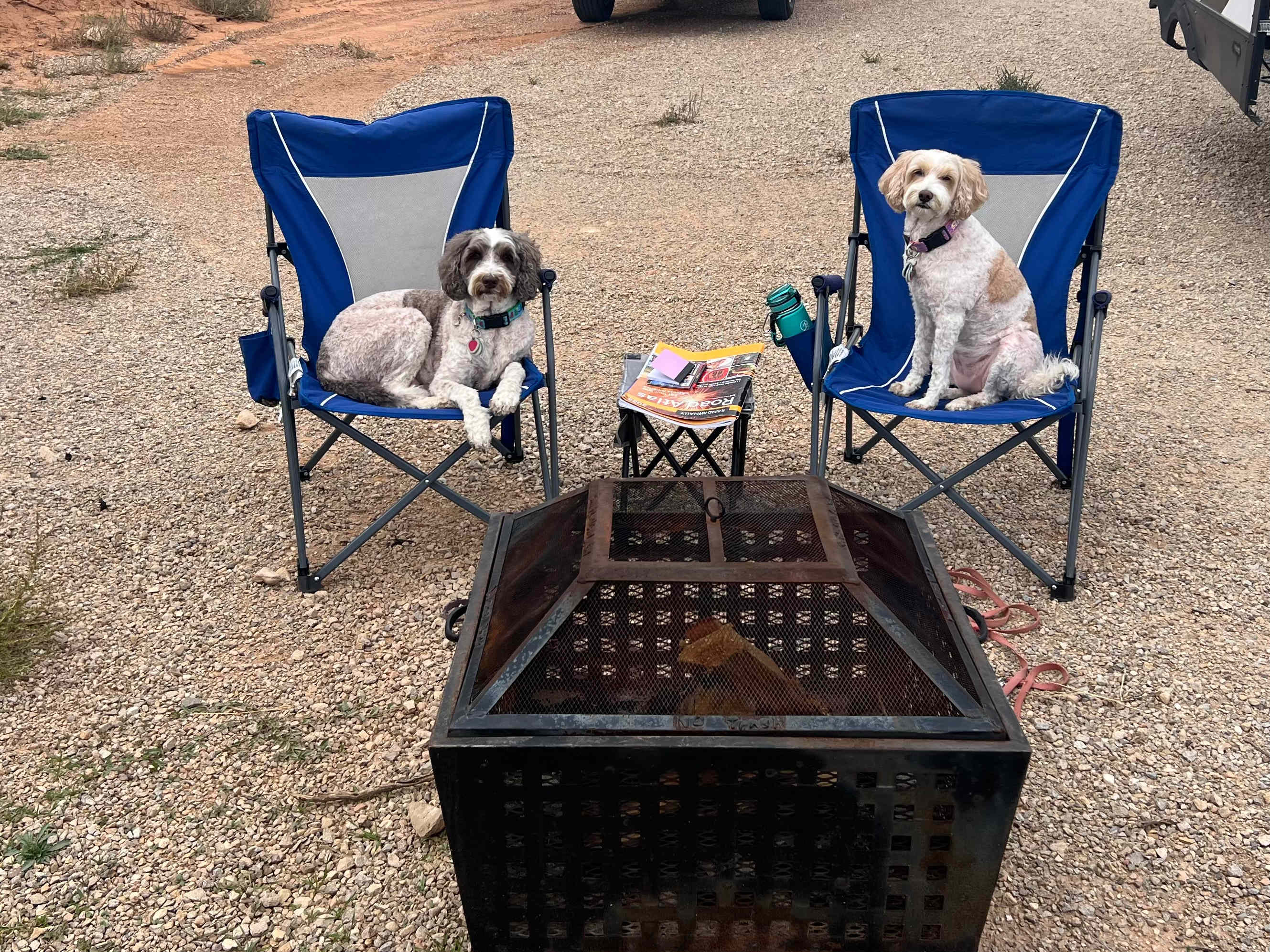 Tiki & Lani enjoying the campfire we were making