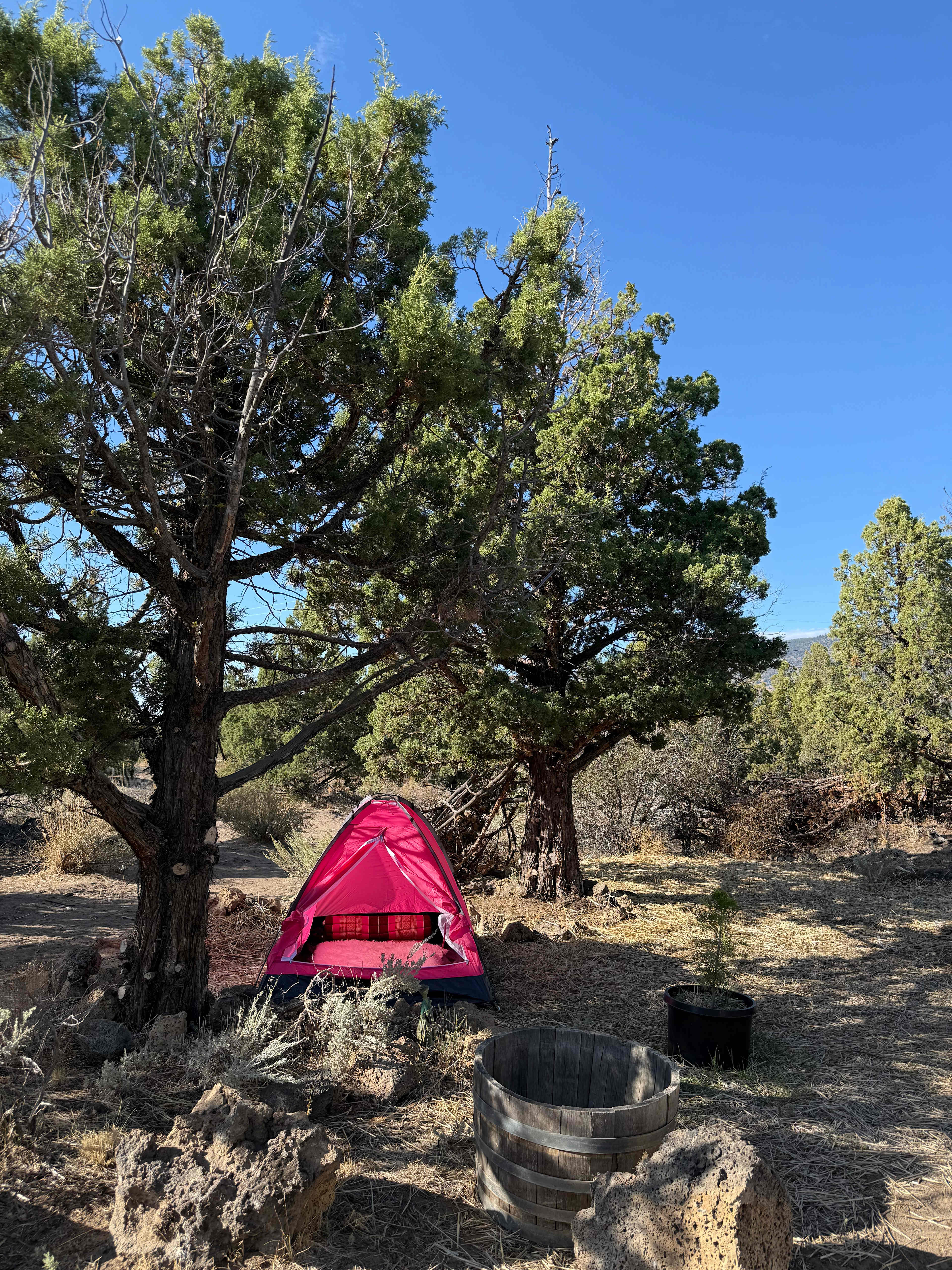 Muladhara Vector Camp Mount Shasta