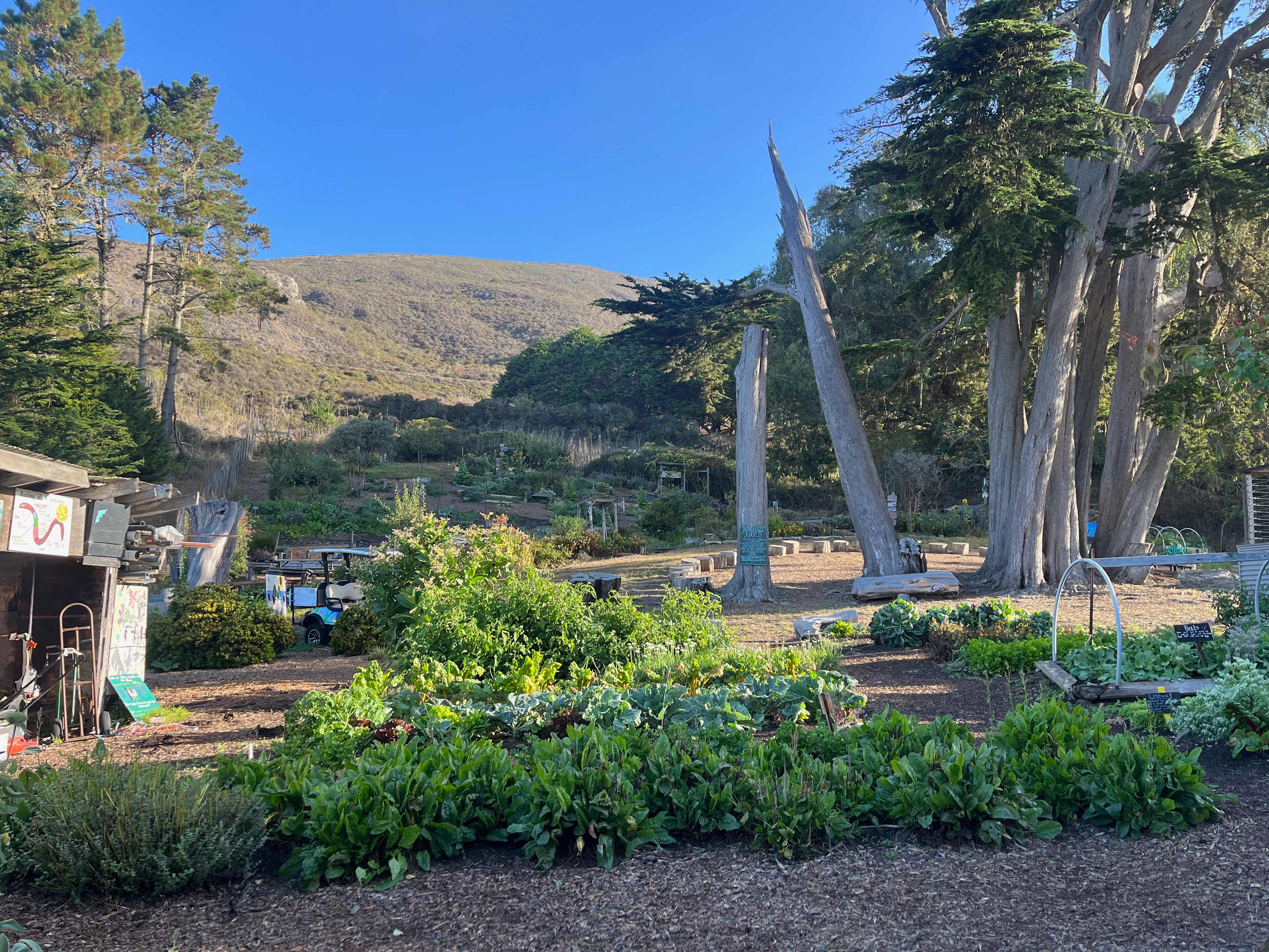 Slide Ranch Campsites