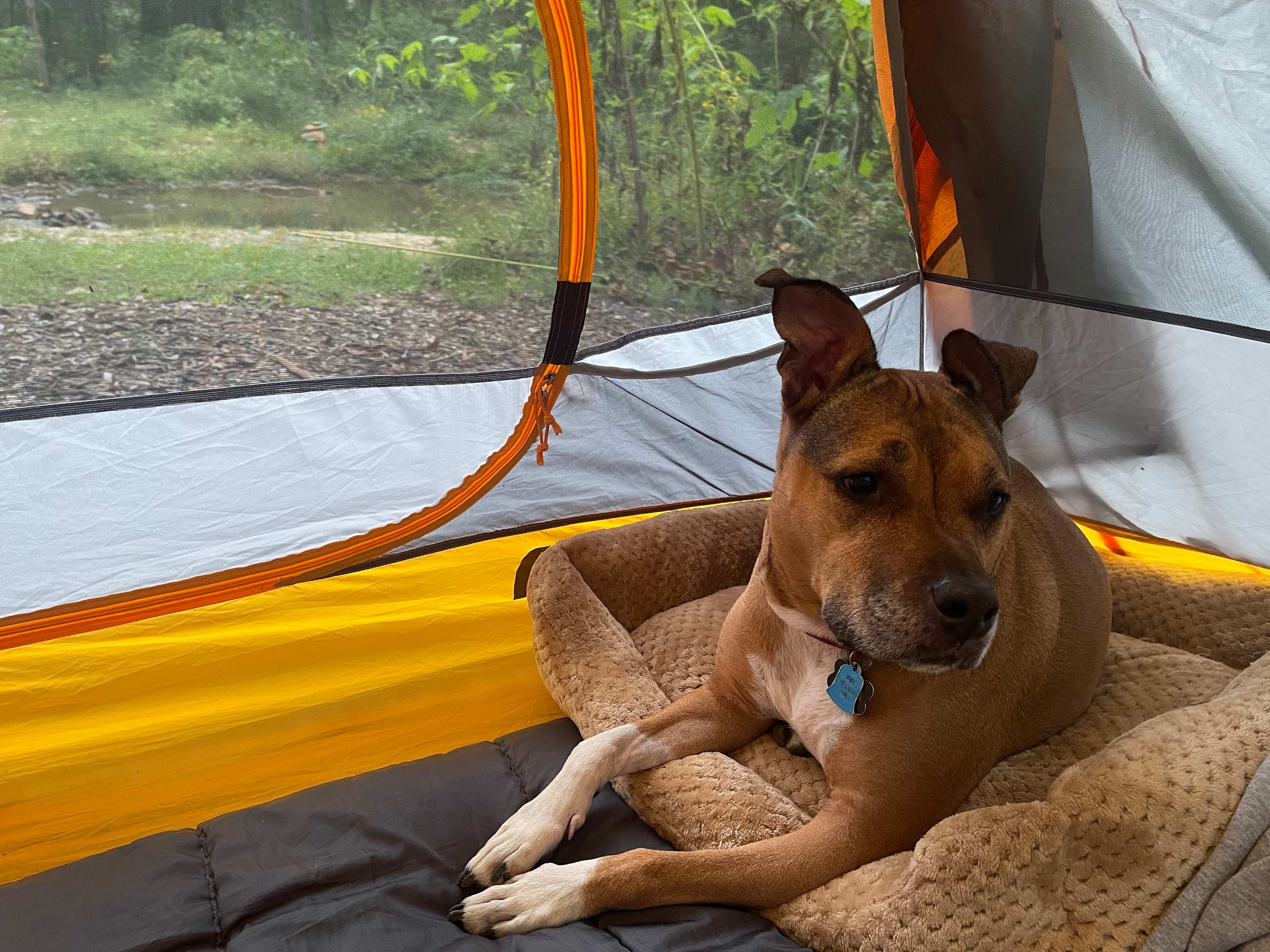 TangleWood Creekside Campsites