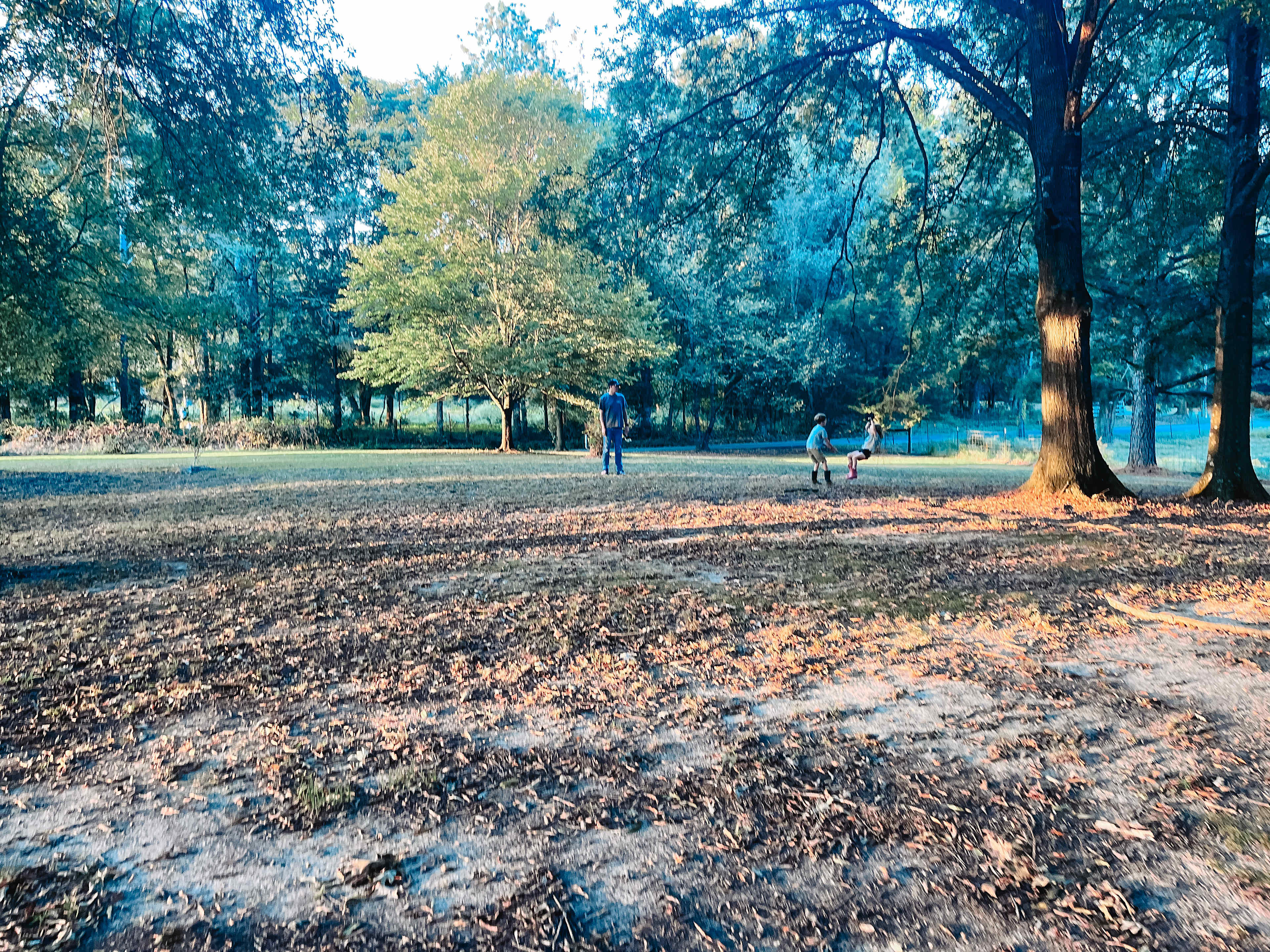 Kids loved the zip line :)