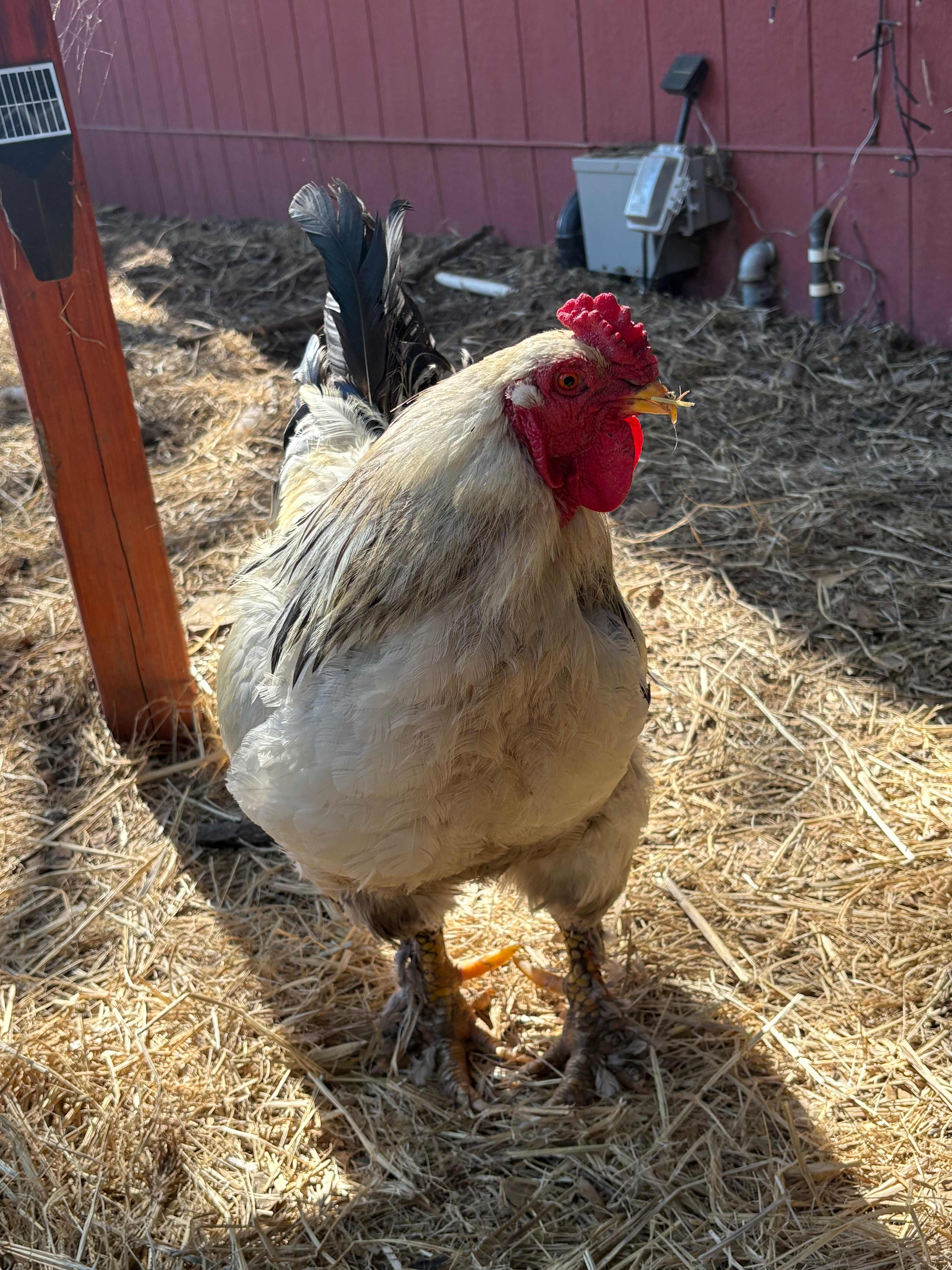 May's Luxury Farmstays