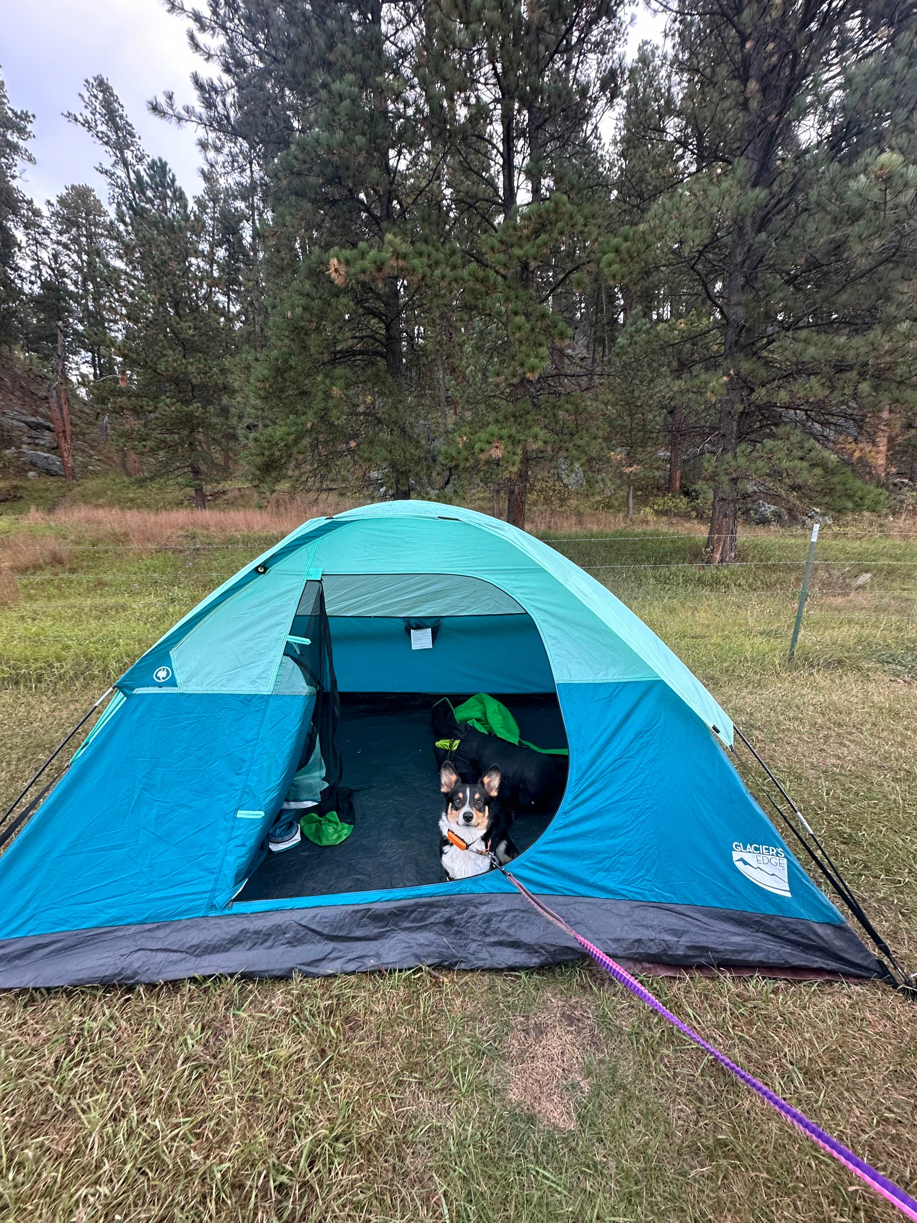 Horse Creek Resort RV Sites