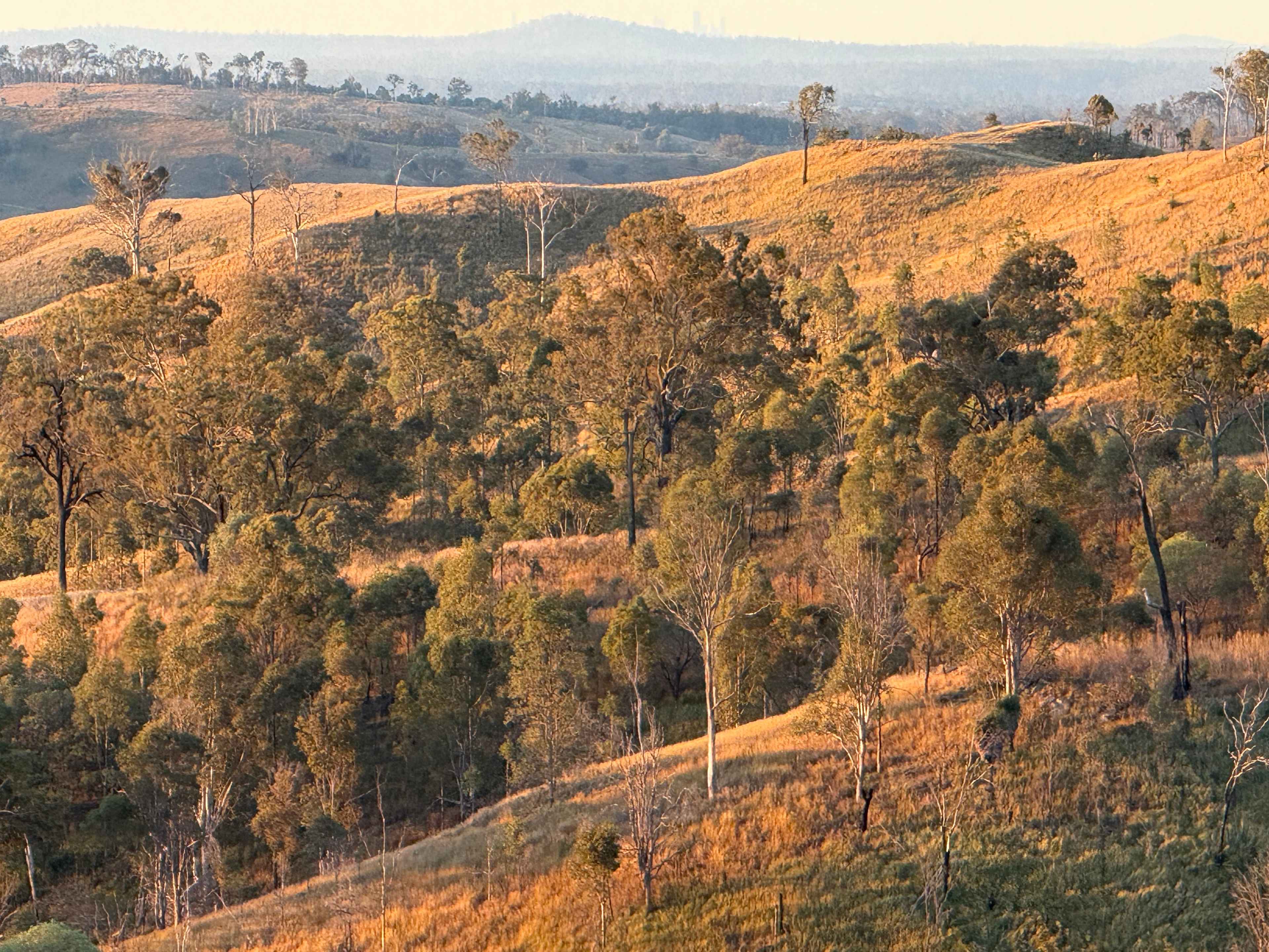 Juburra Country Camping
