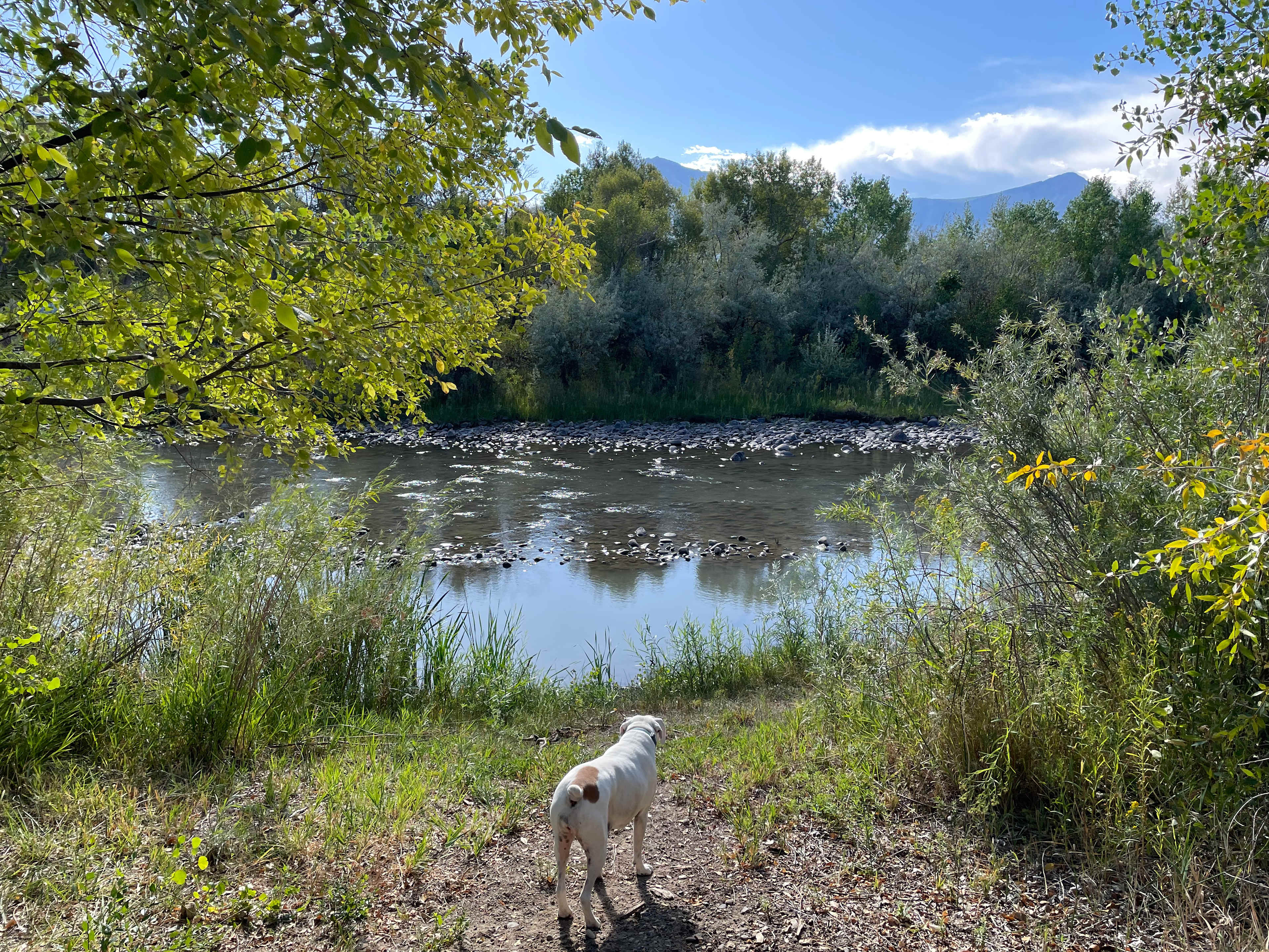 Riverwalk Yurt, luxury on river