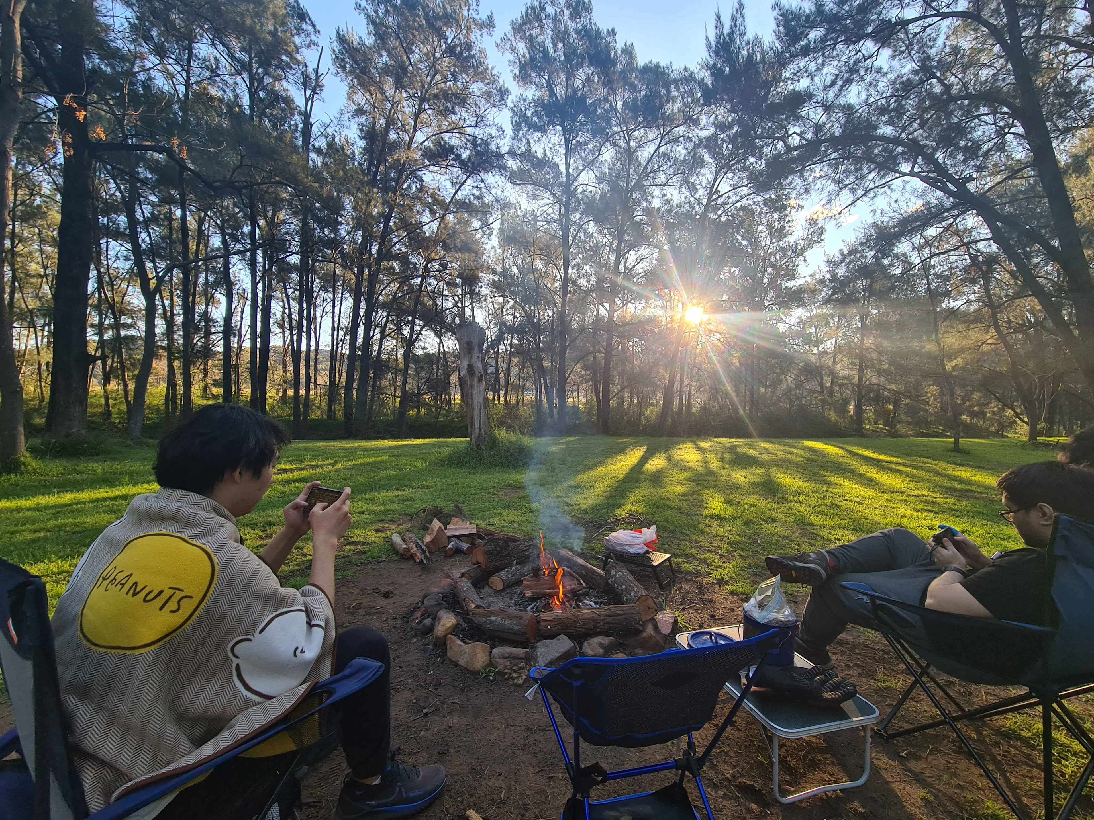 Beelisco Honey Hipcamp