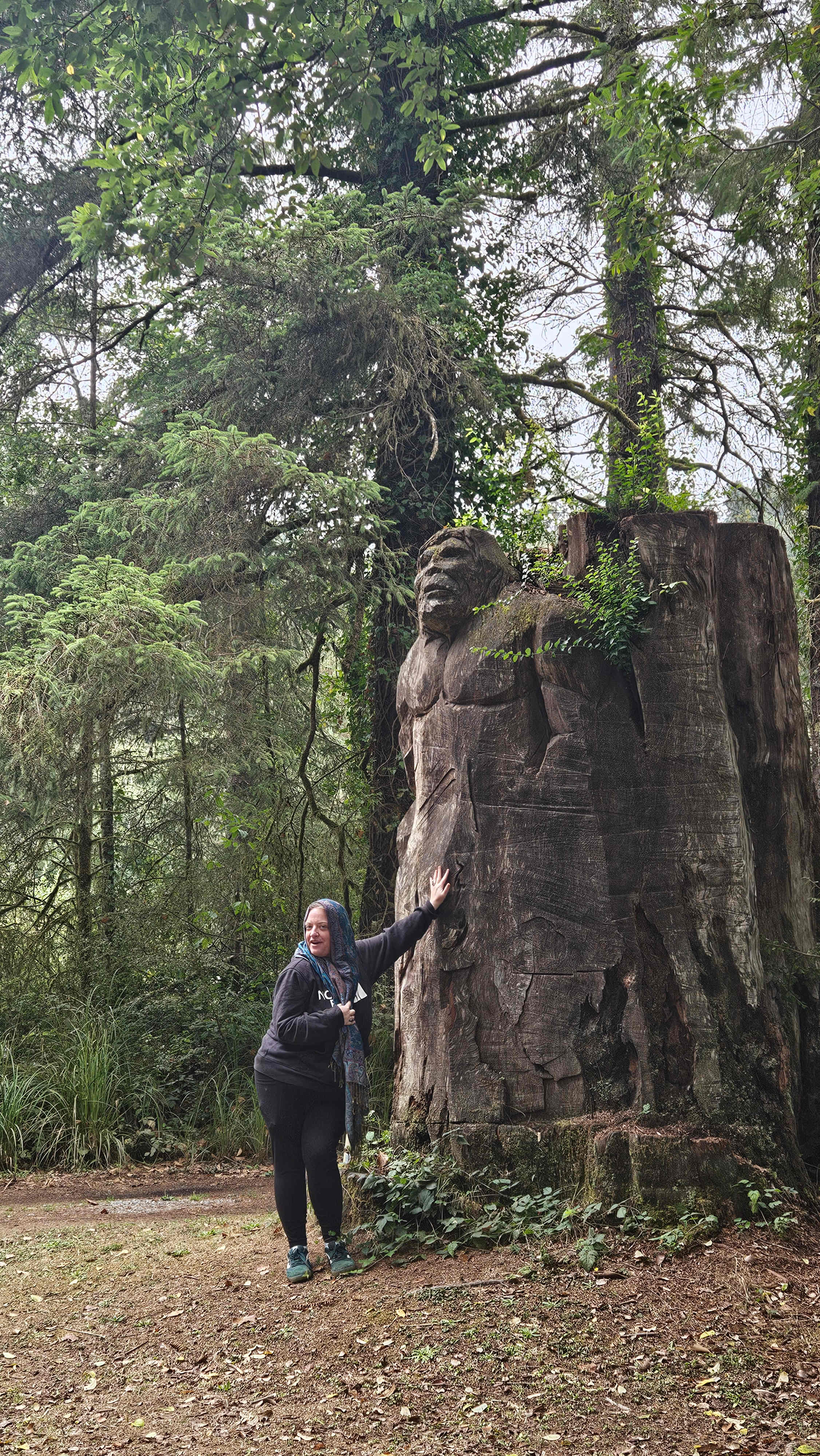 Mystic Forest Campground