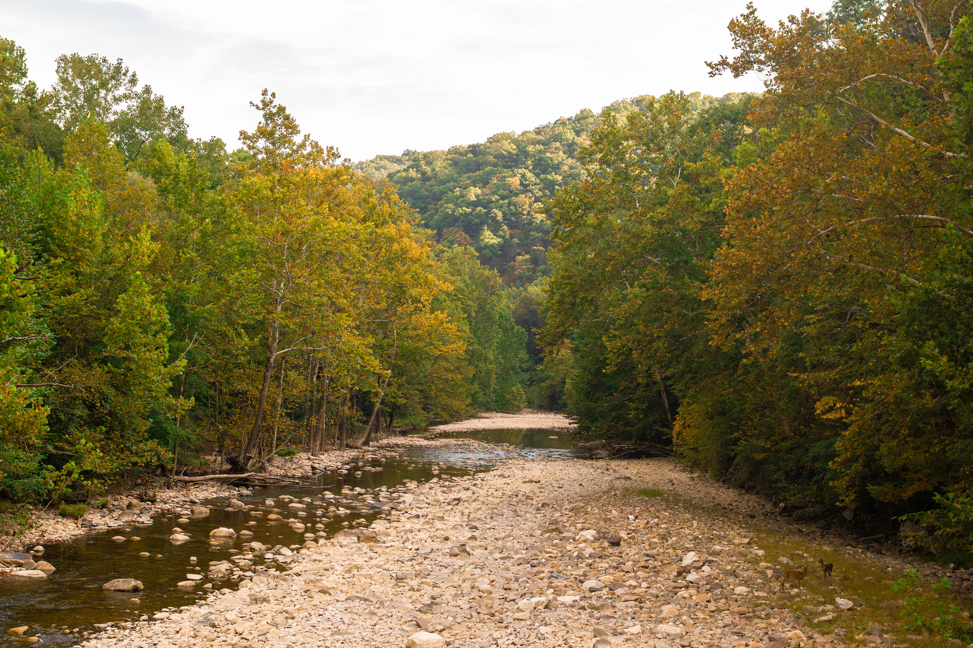 Views on the Seneca Rock Trail