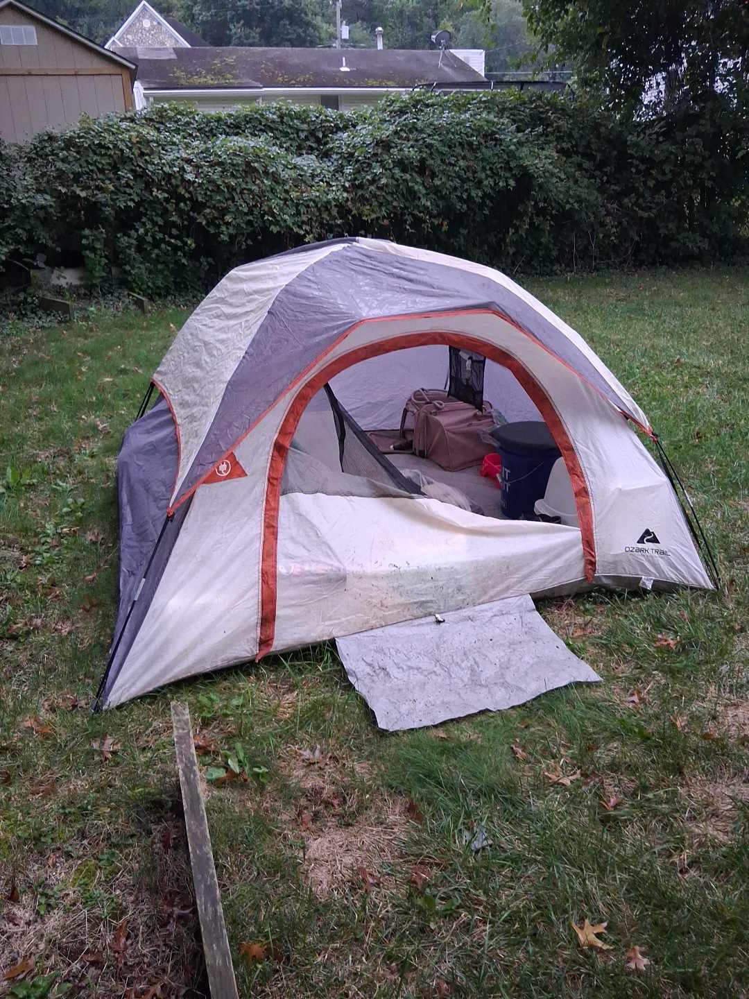 The Elmwood Backyard