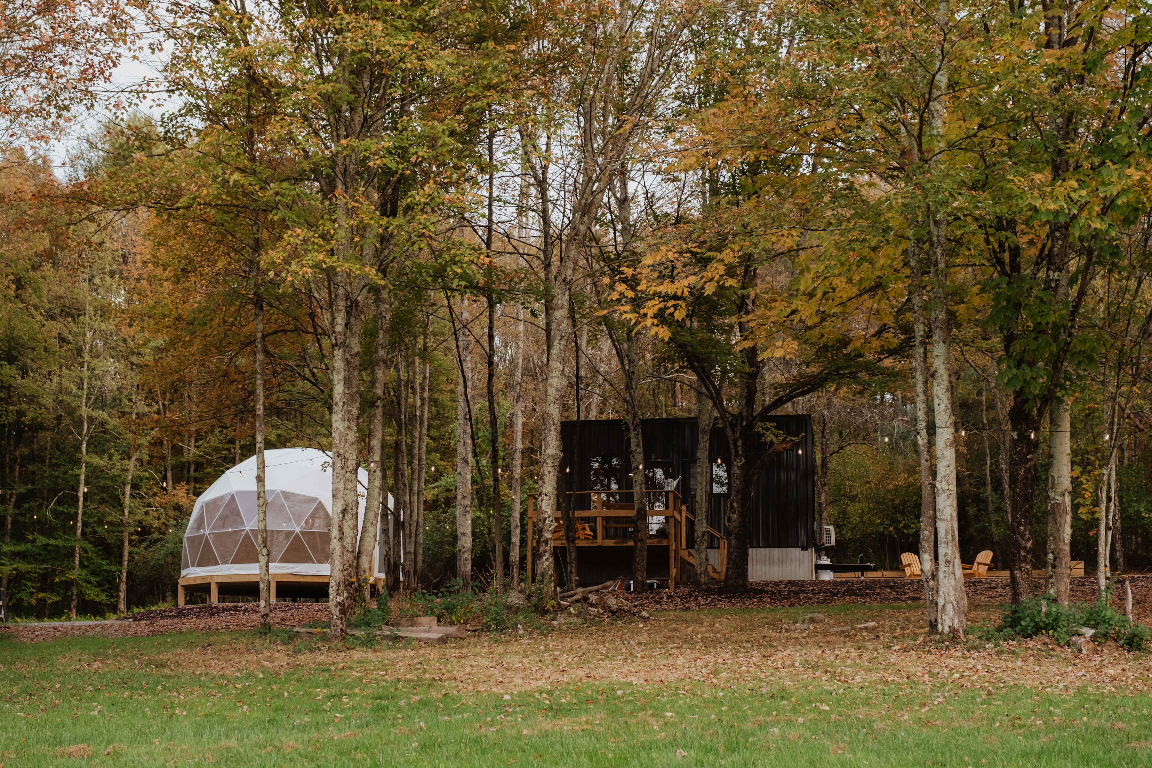 Views from the open space