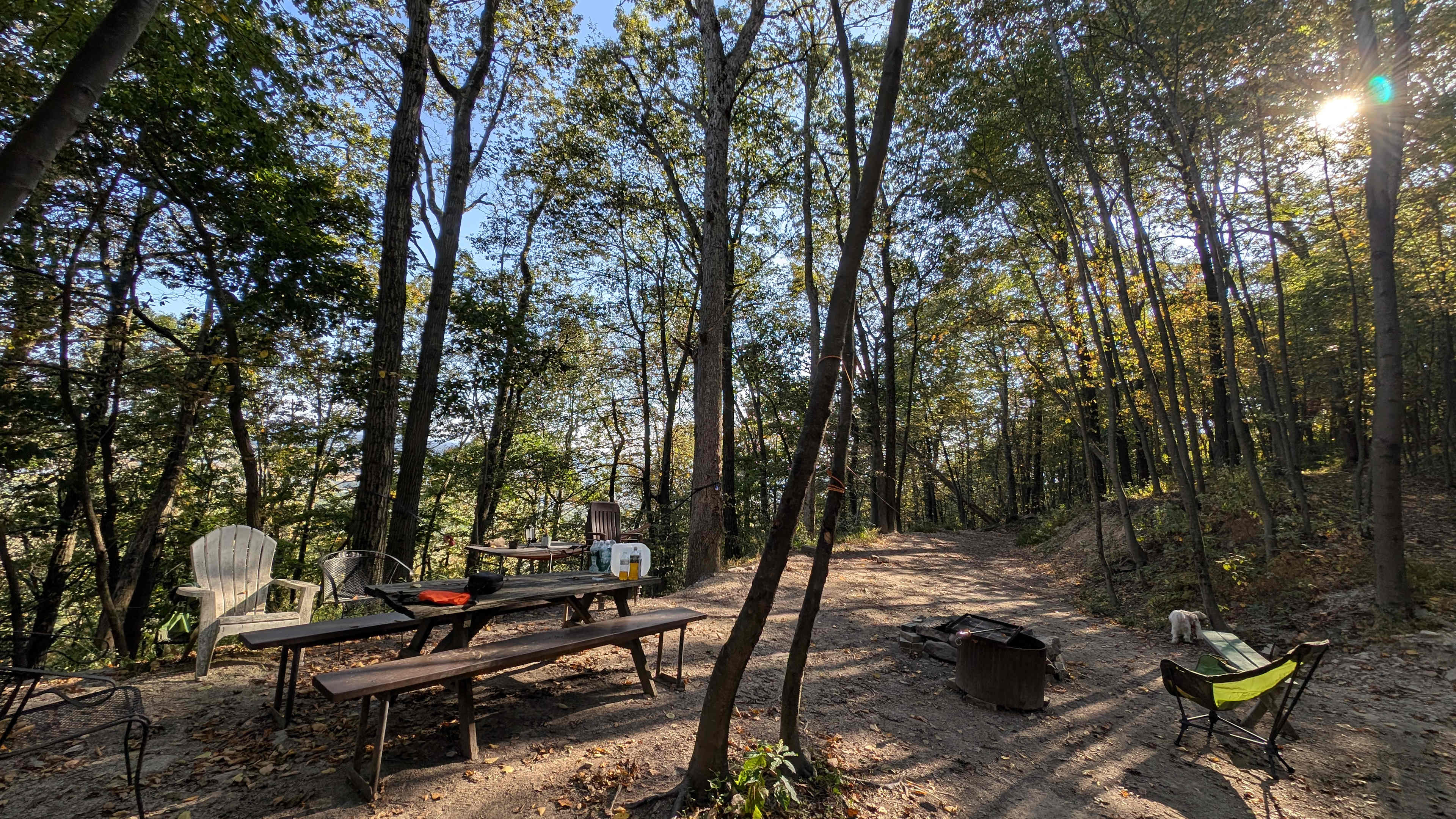 The Lookout