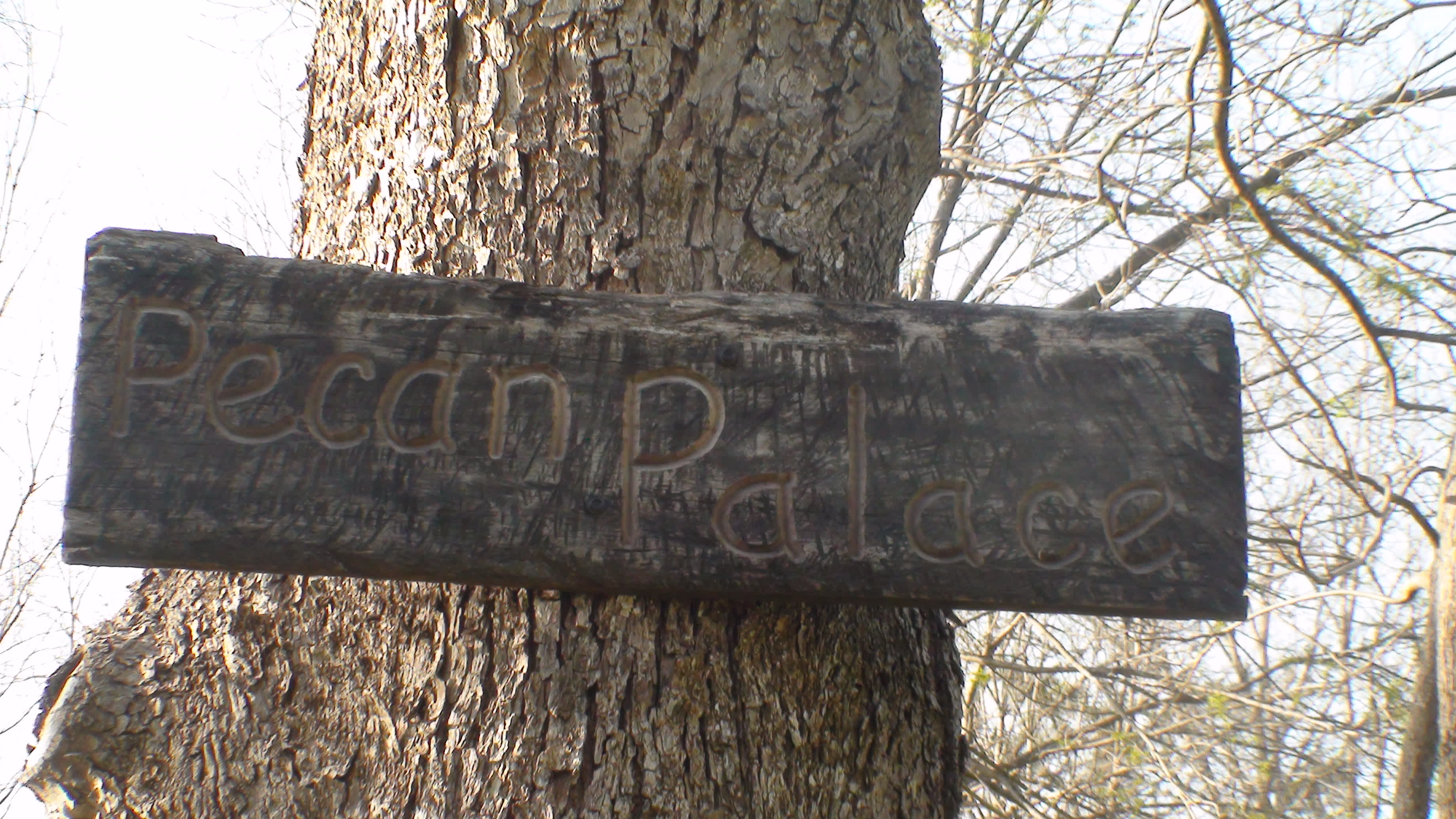 Nature's Edge Cottage & Campsites.