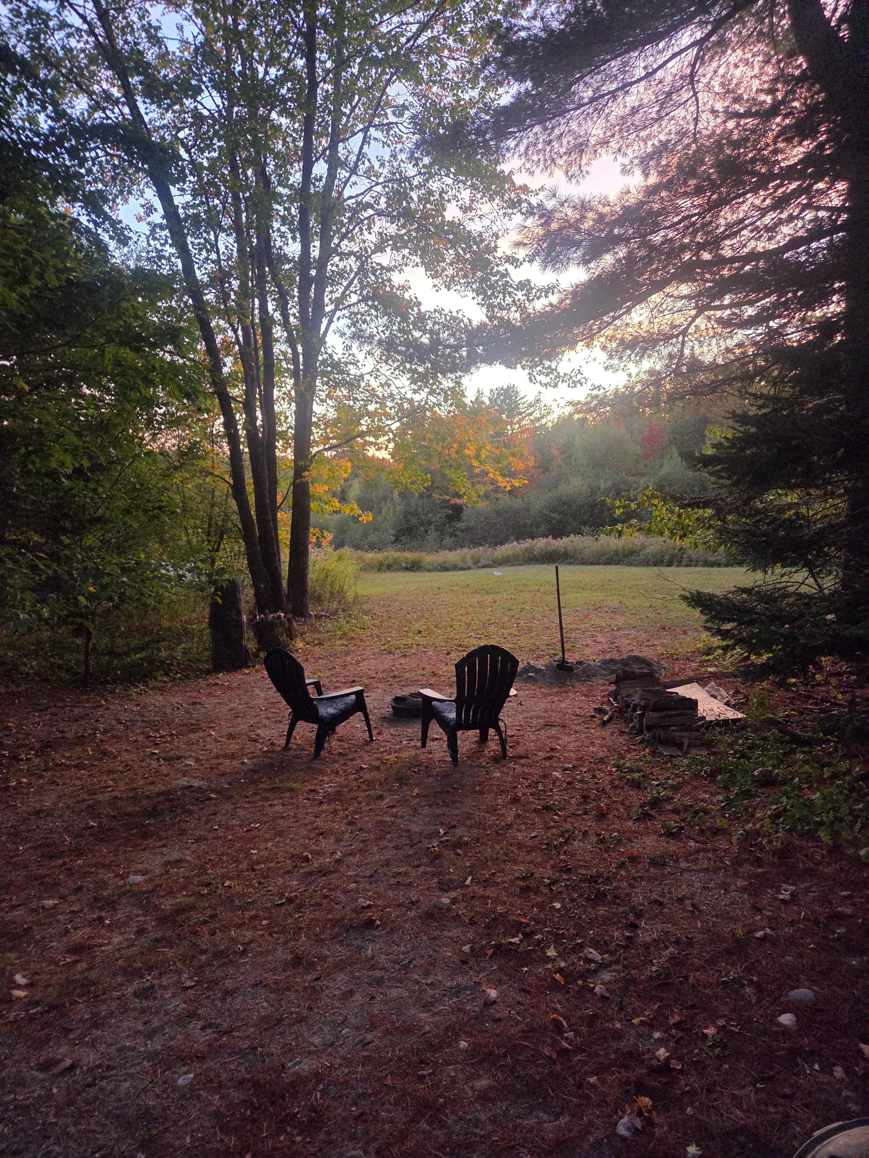 The Magic Bus - Near Acadia Park