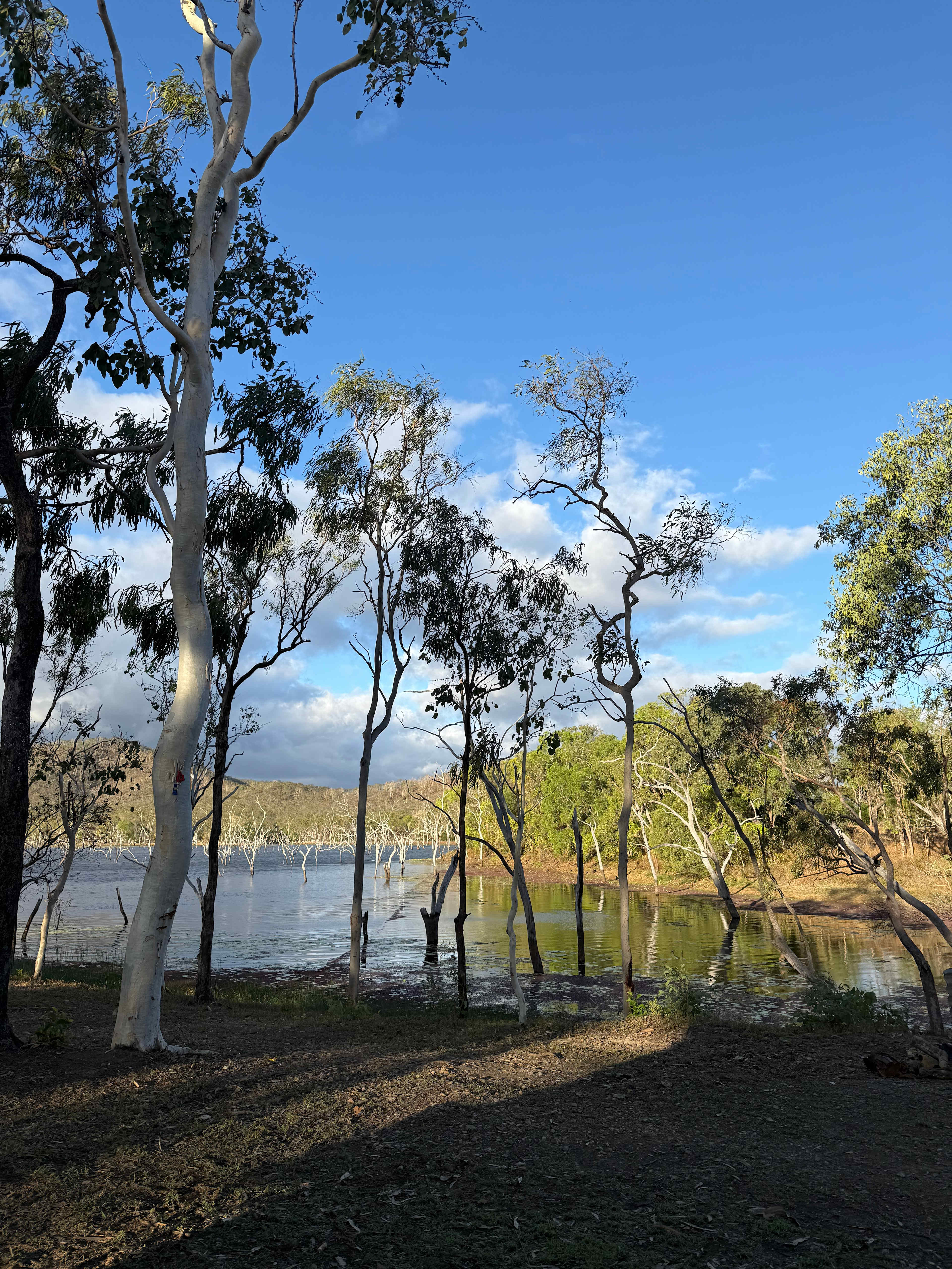 Lakeland Downs Camping