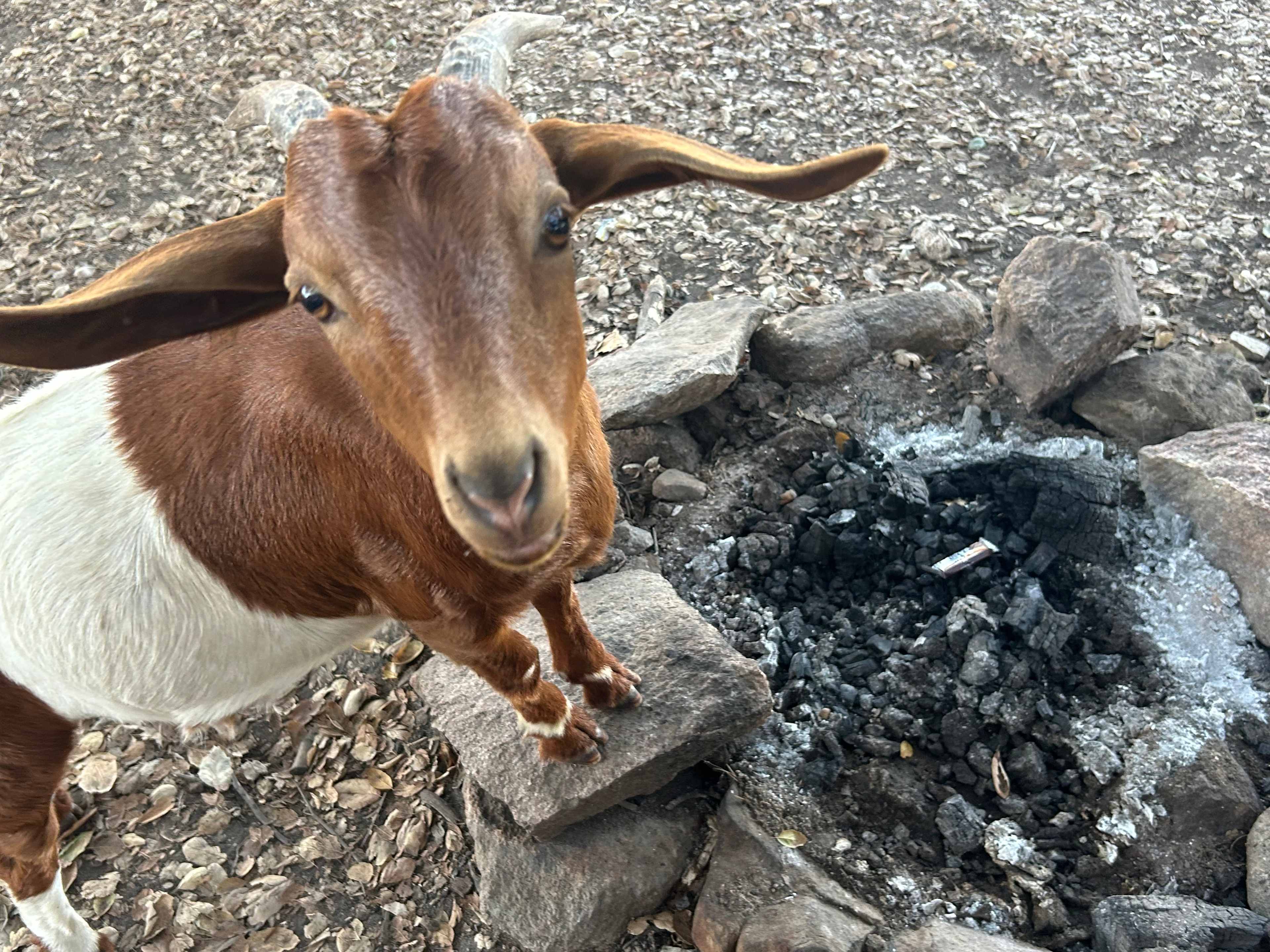 Splitrock Farm and Retreat
