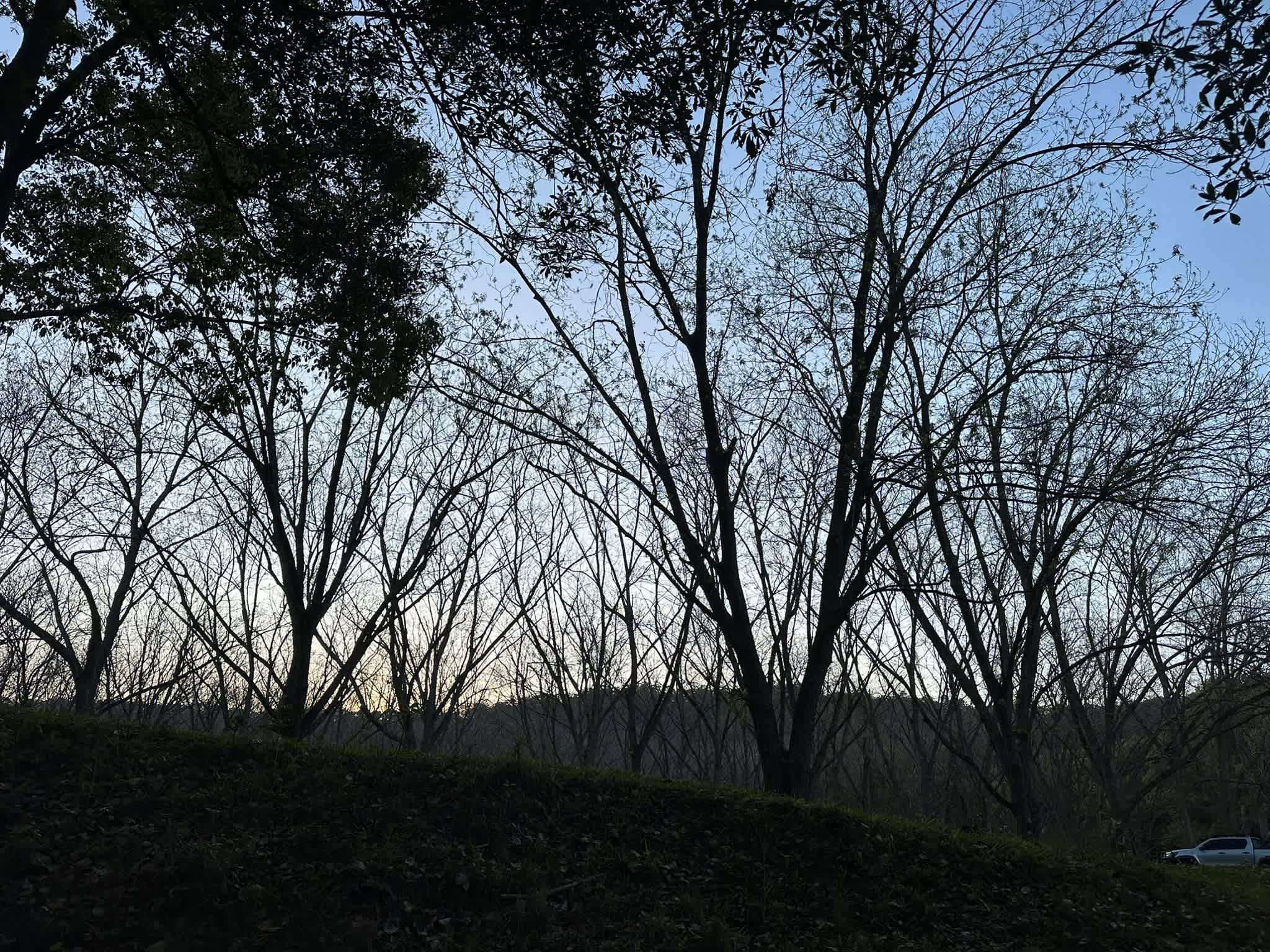 Sunset at the pecan waterhole
