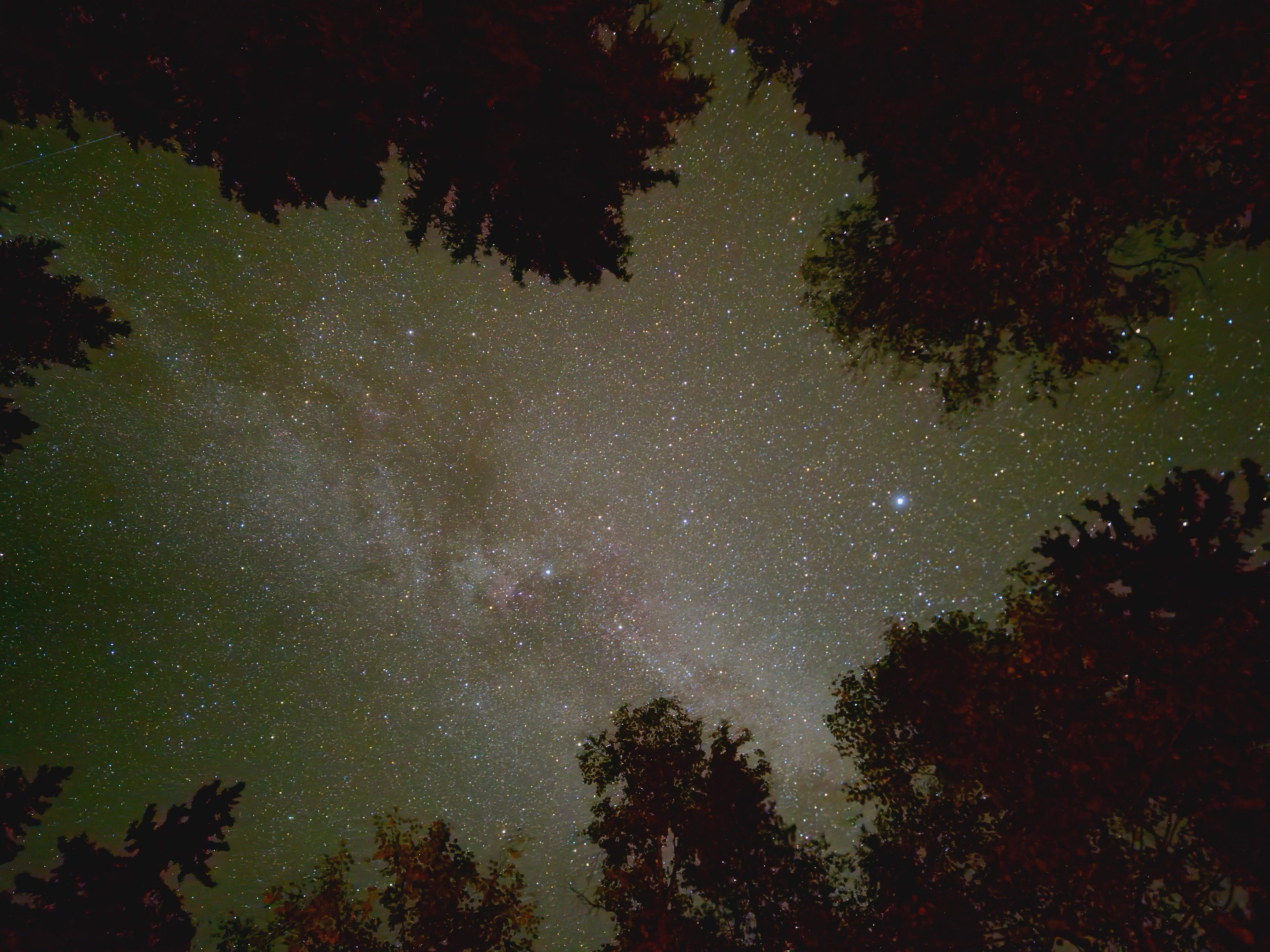 Golden Glamping Resort