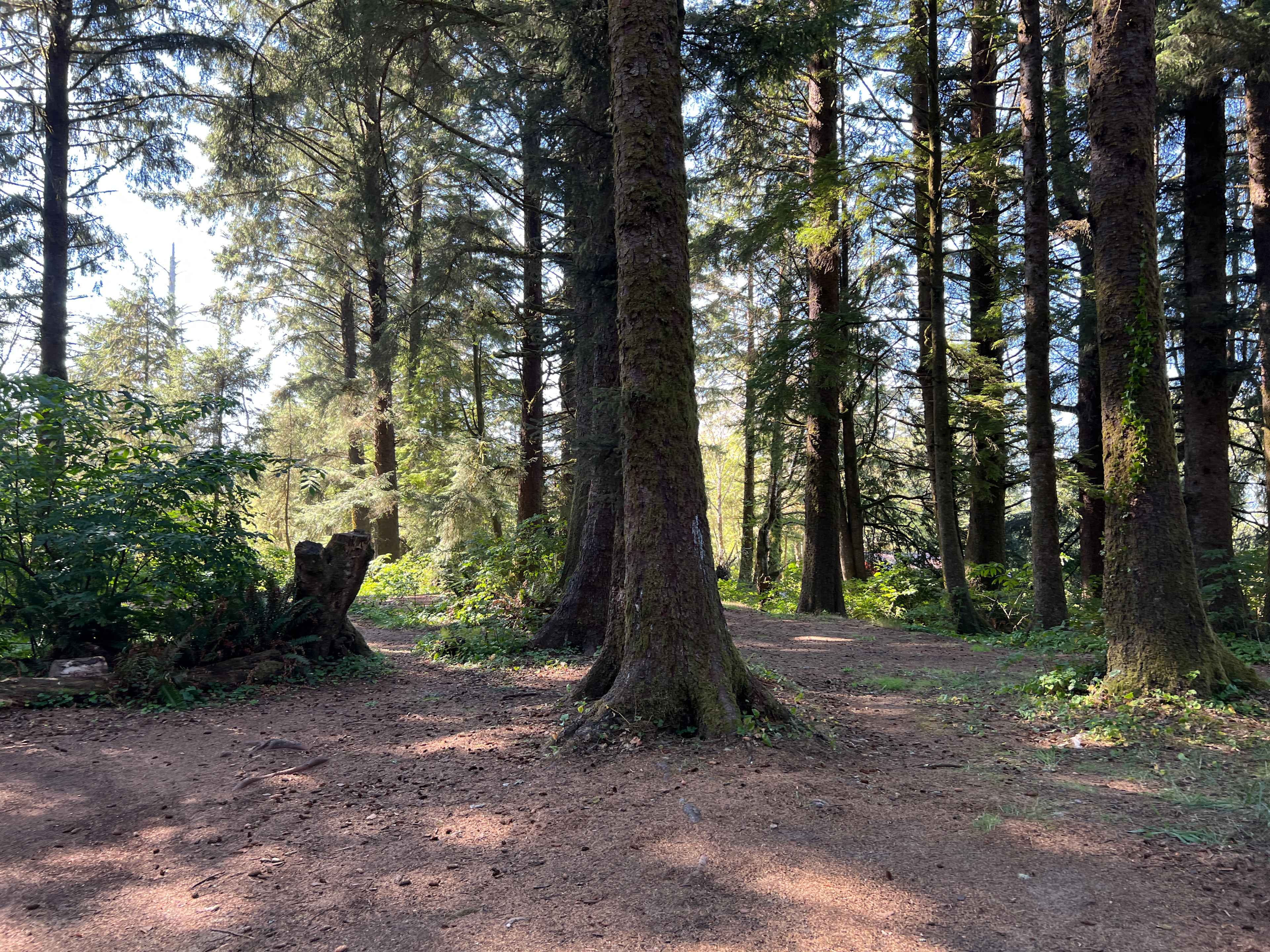 Lost Coast Adventure Camp