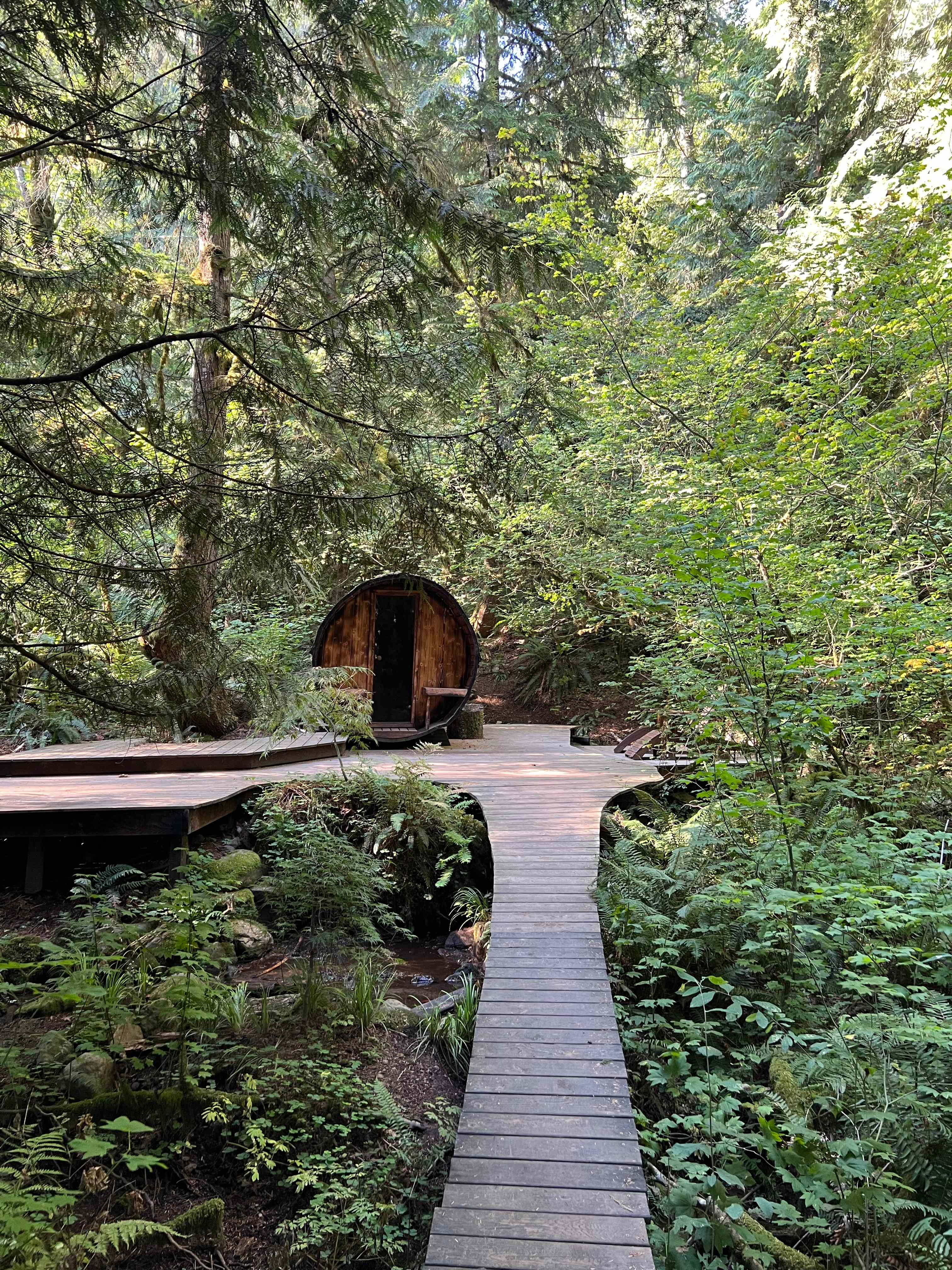 Action Sports Roamer Sites-Mt. Hood