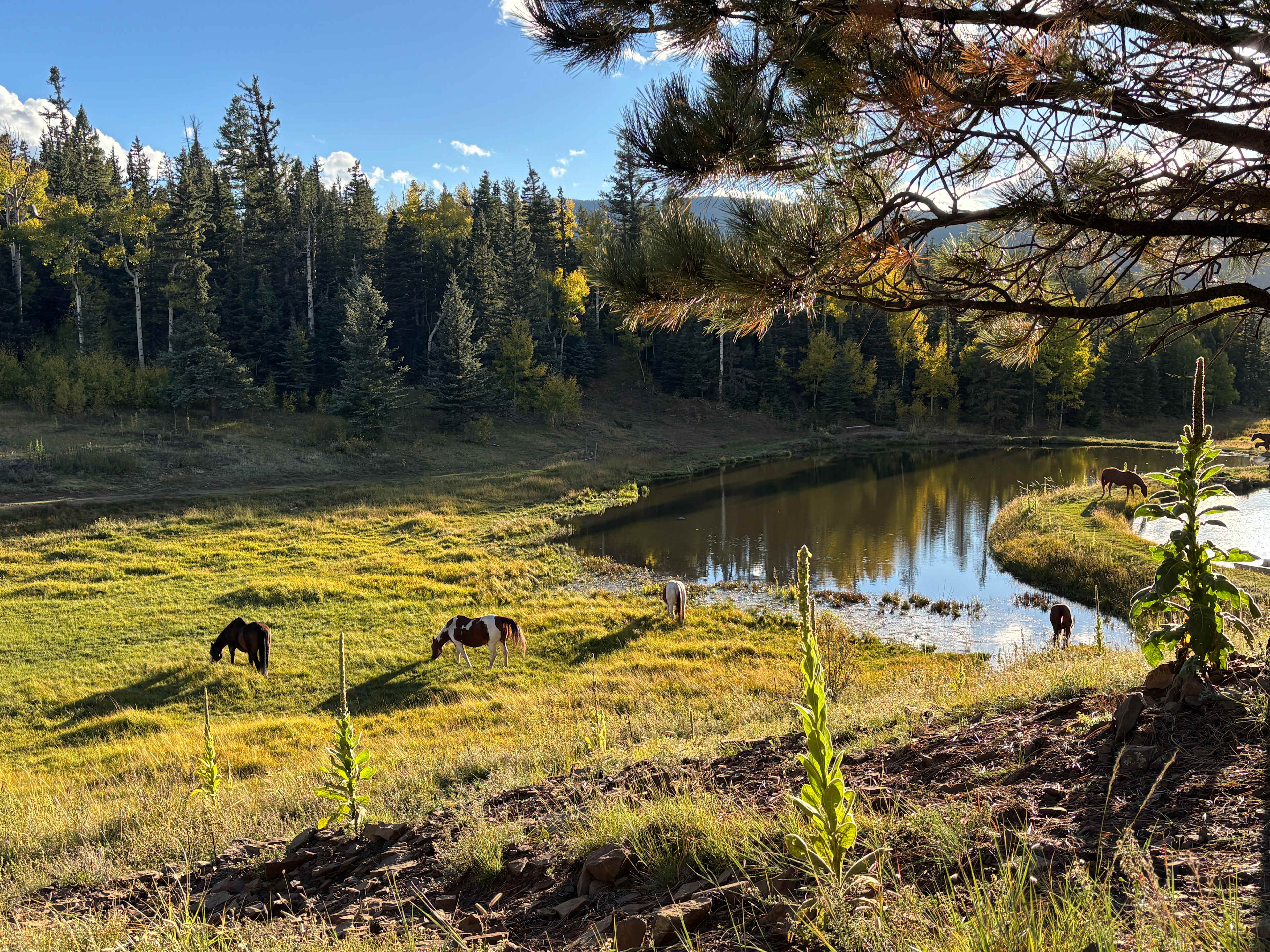 Enchanted Circle Campground (E<<)