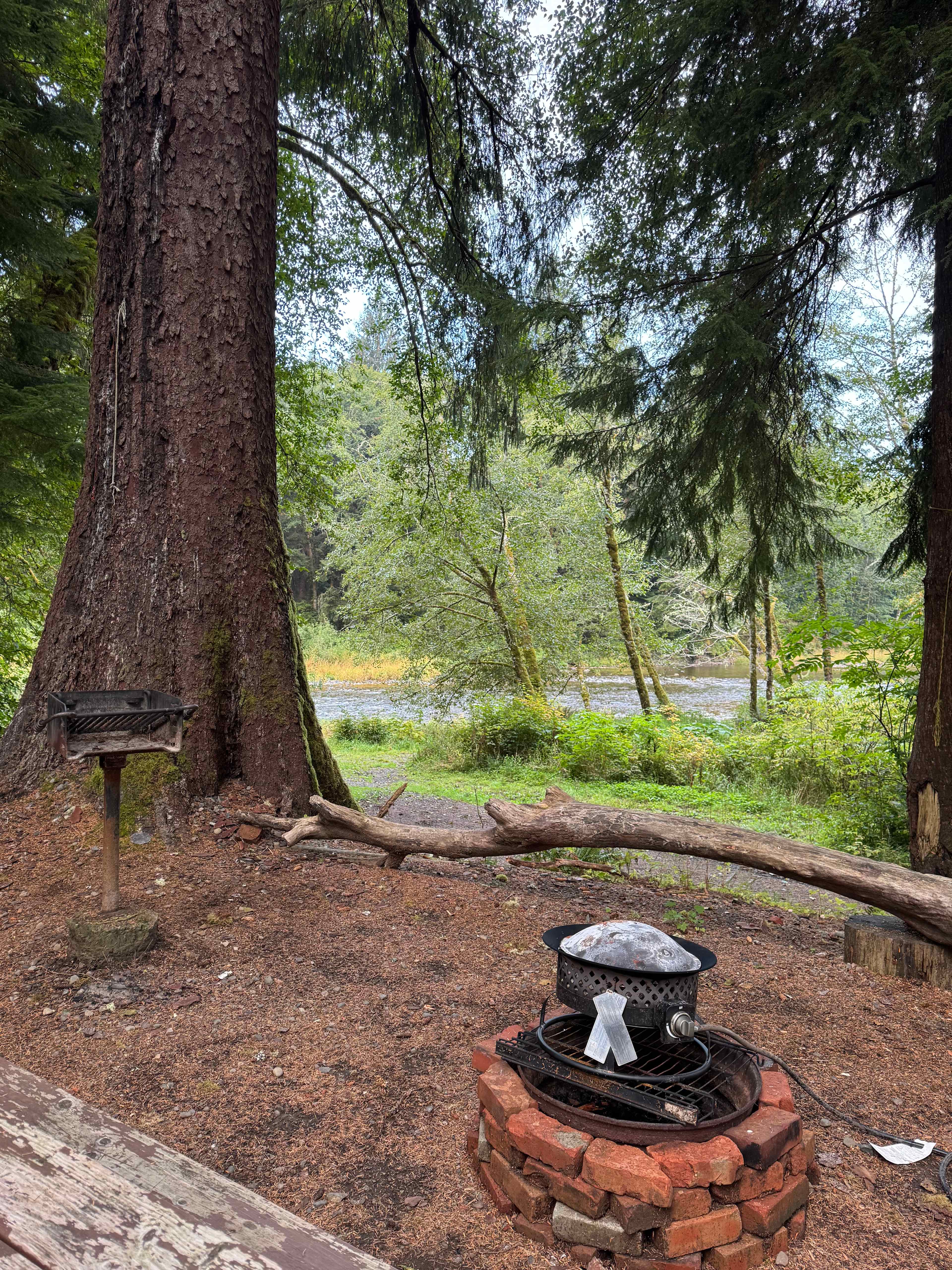 Cookout/sitting area with river view (rented propane pit)
