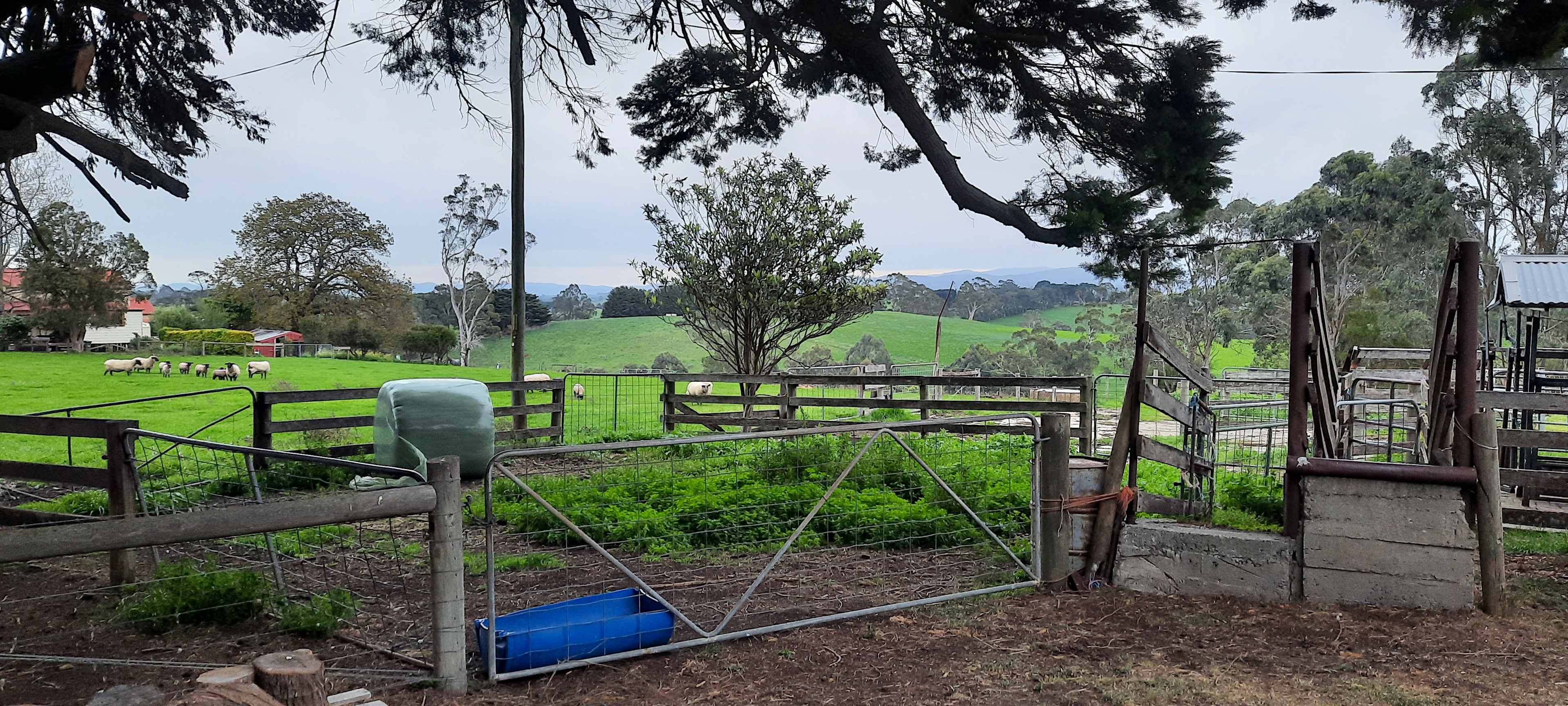 Old Dairy at The Grange, Buln Buln
