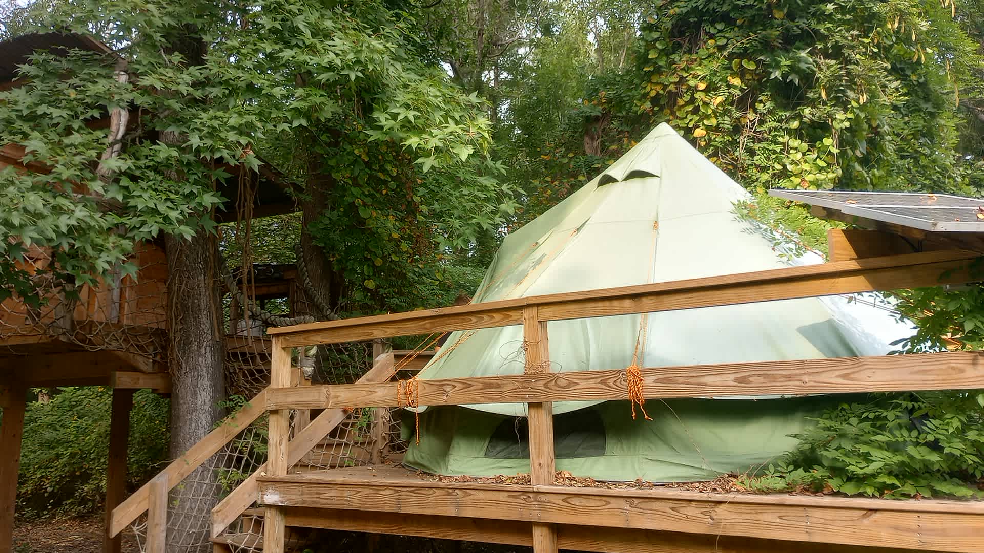 The Guinea Farm, Field, and Forest