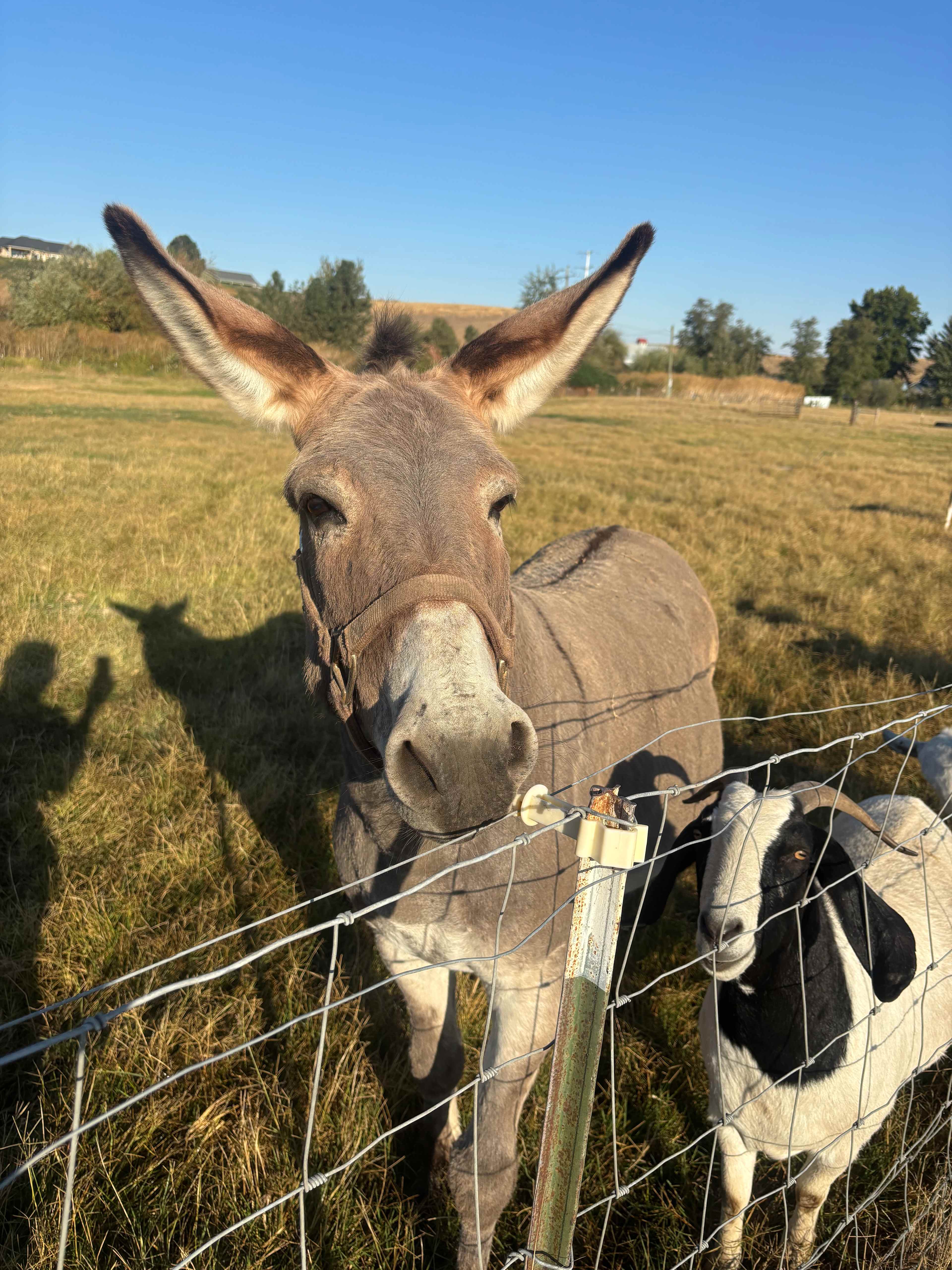 Last Chance Glass and Getaway