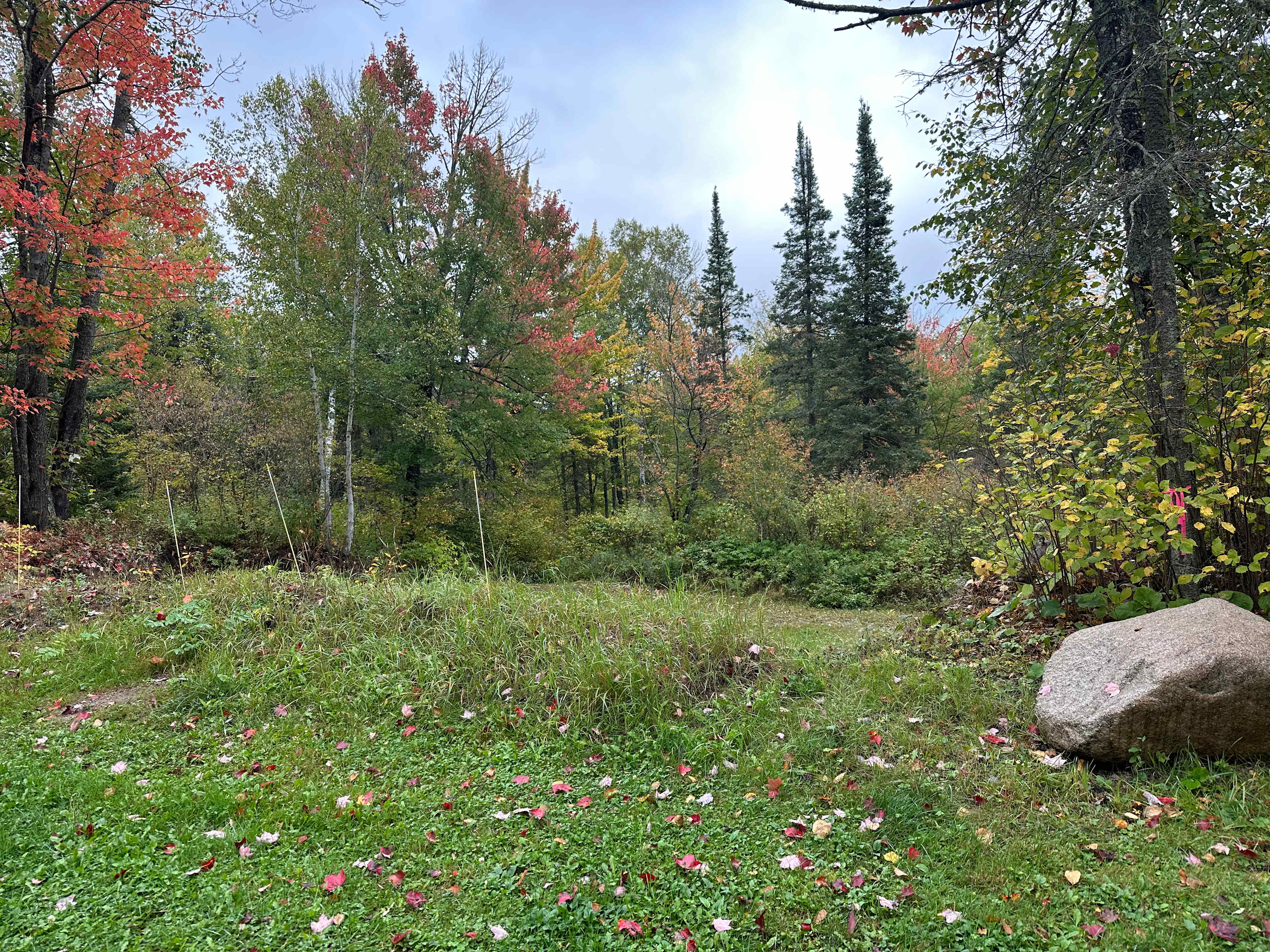 View from Campsite #1 (over site #3 in the pit)