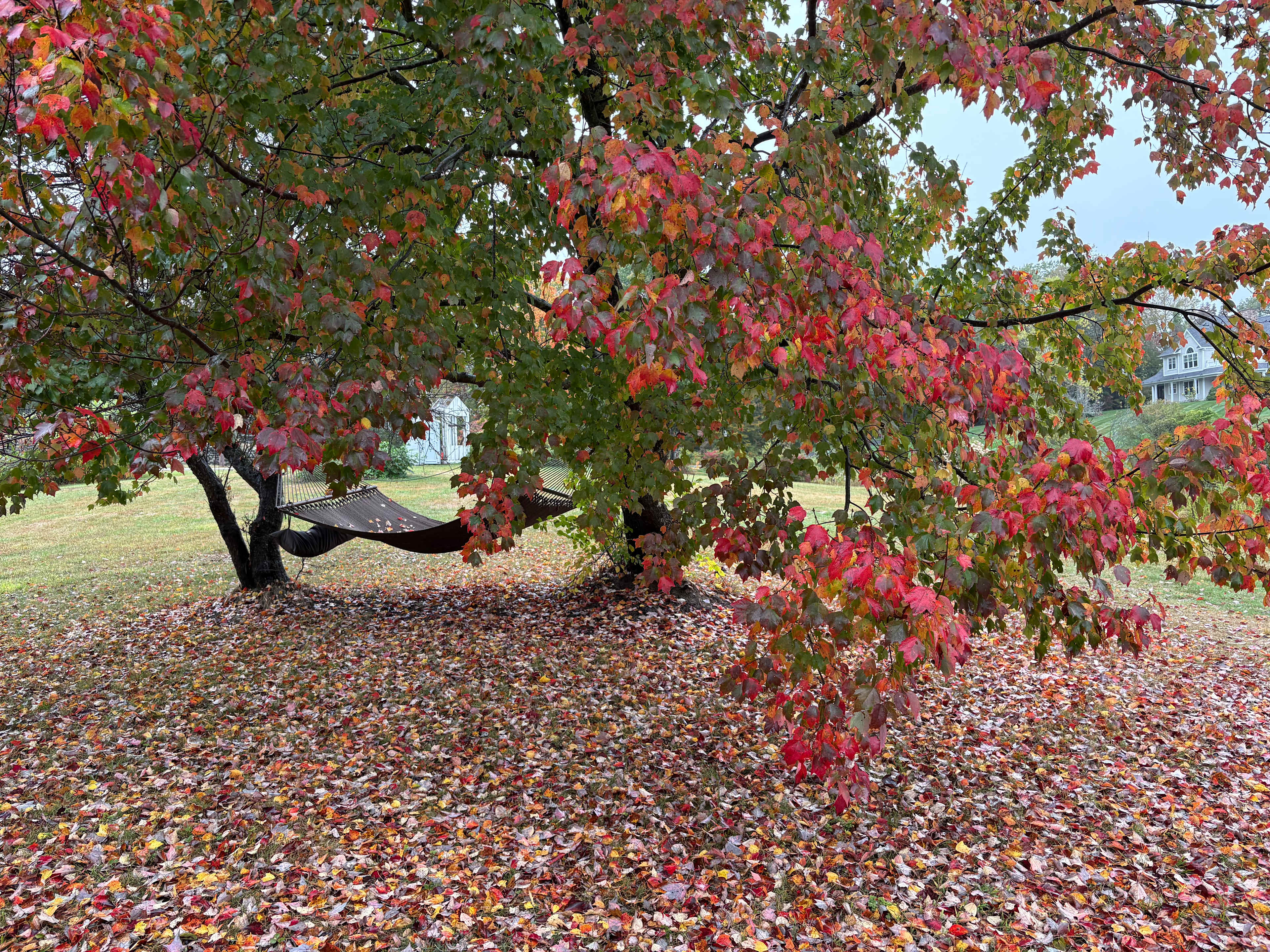 The Moose Caboose Country Farm