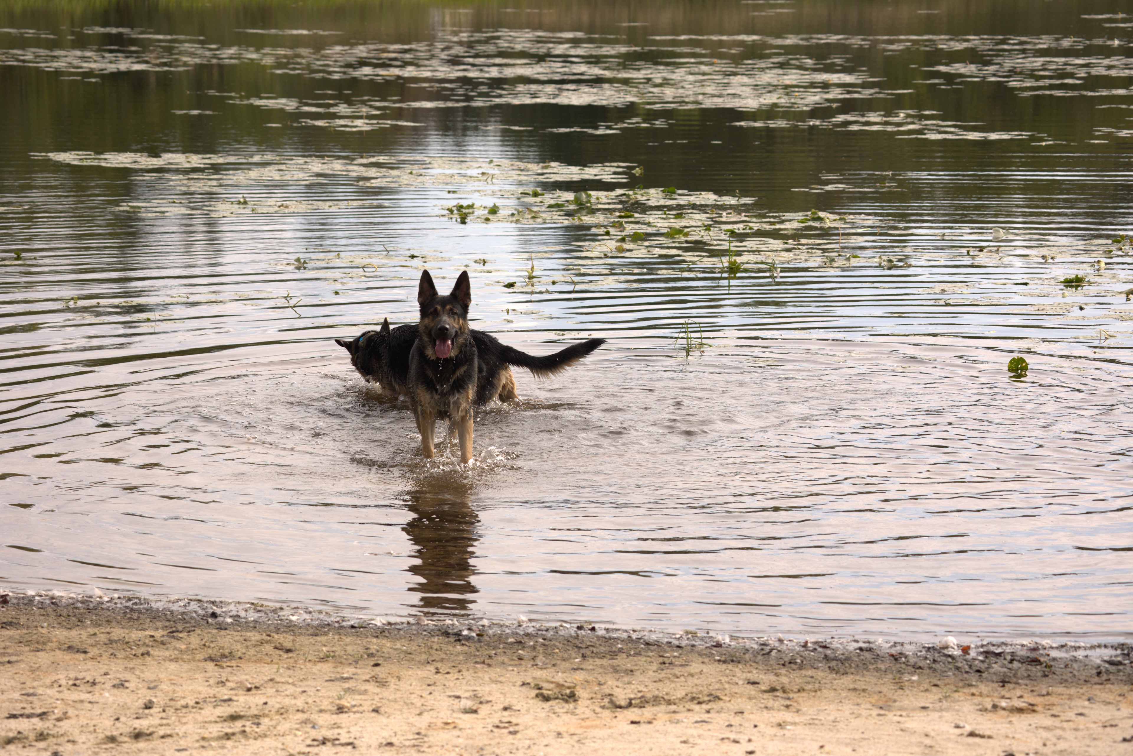 Great Times Camp Ground