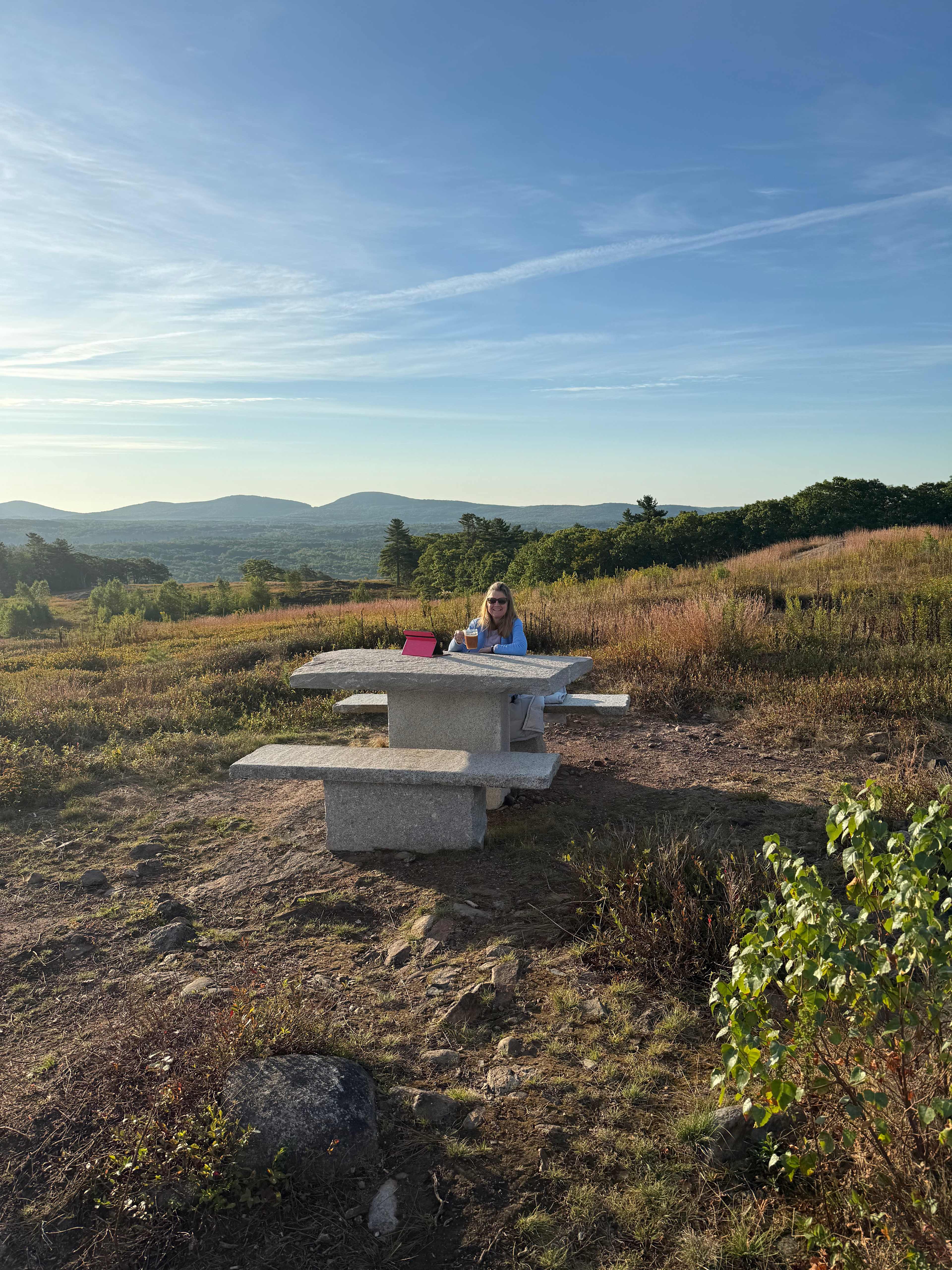 Magnificent View Blueberry Hilltop