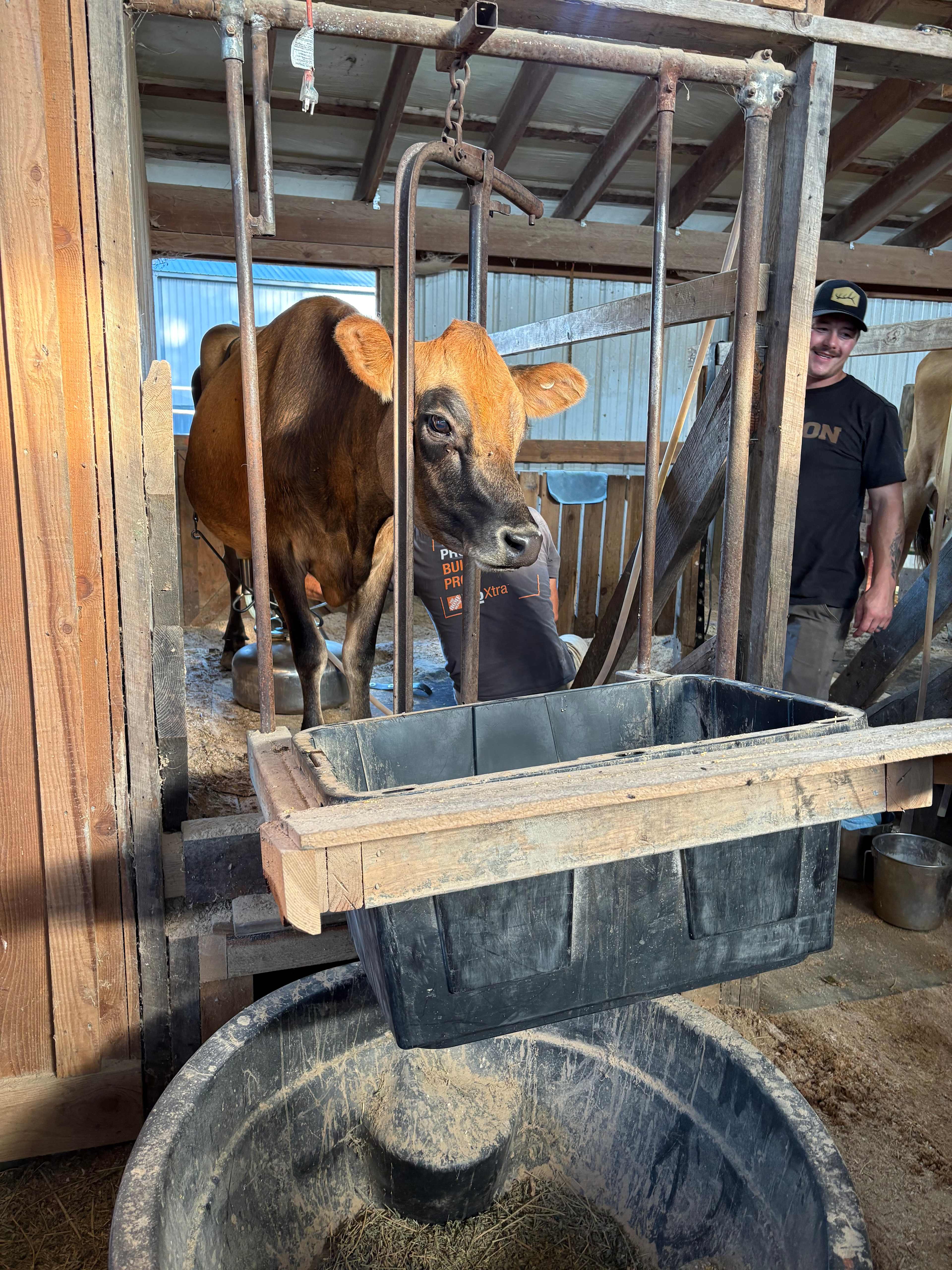 Hymas Family Farm Stay