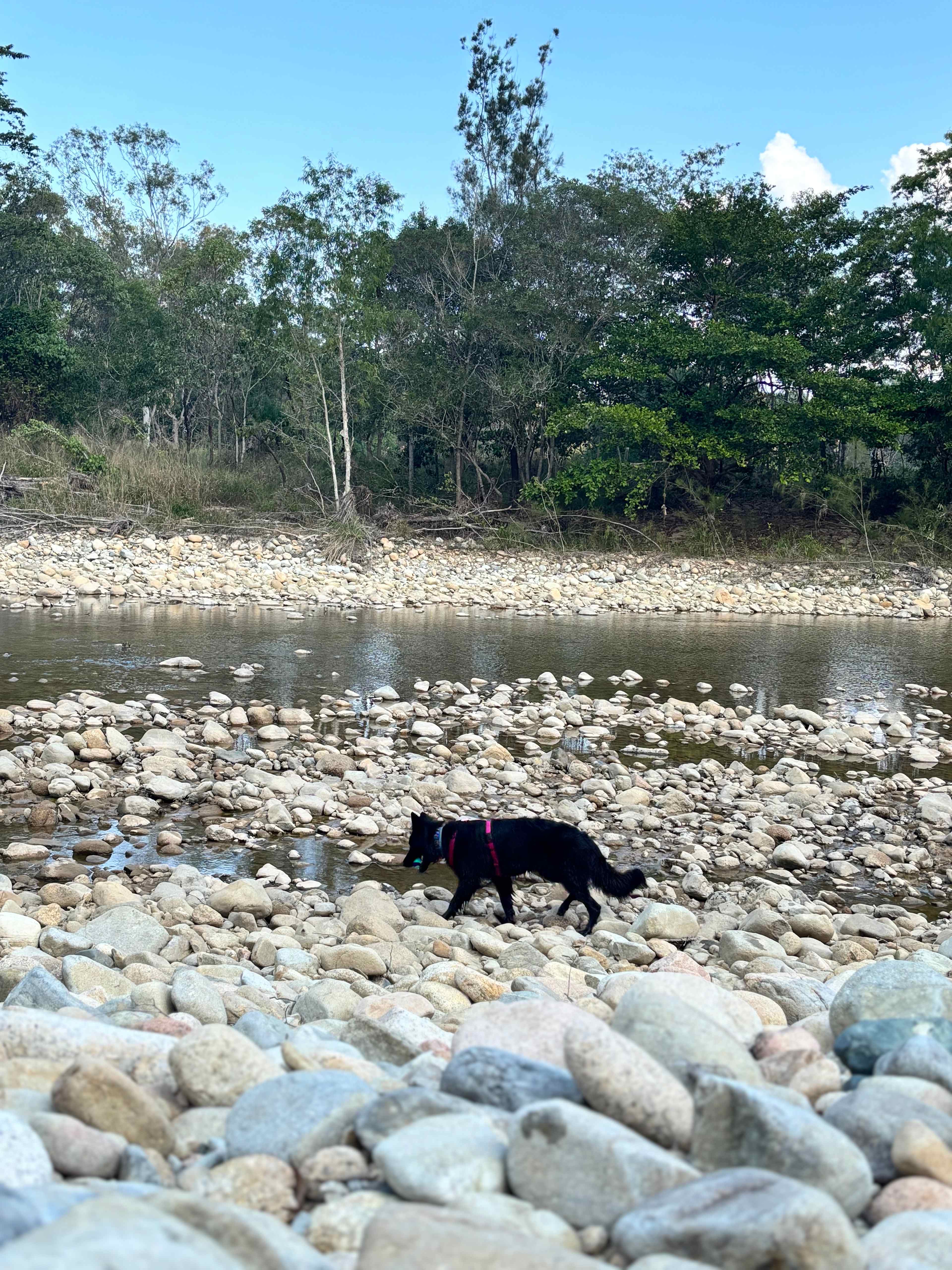 Crystal Creek Nywaigi Camp Grounds