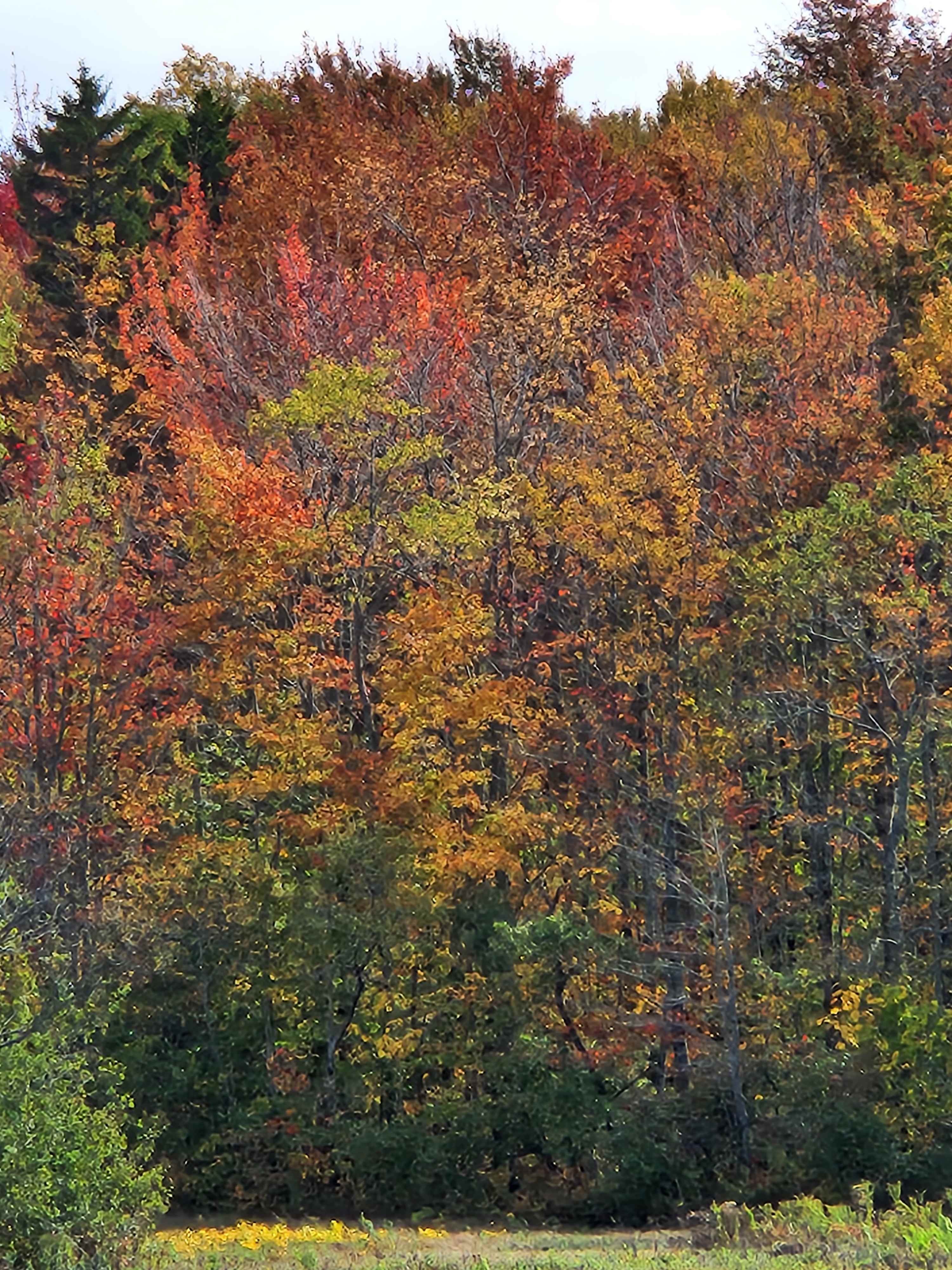 Grateful Acres Vermont