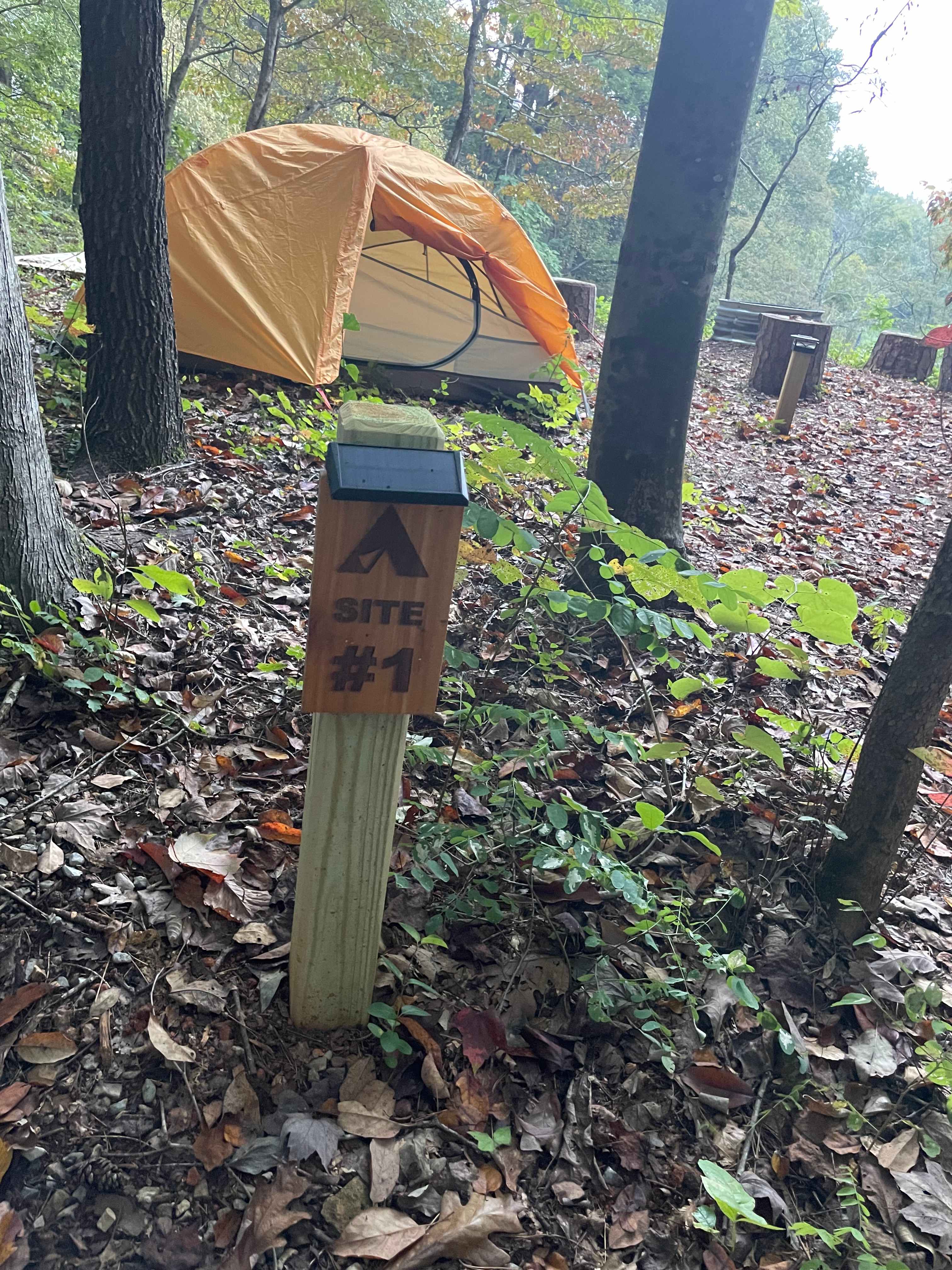 Avonmore Oasis Camping