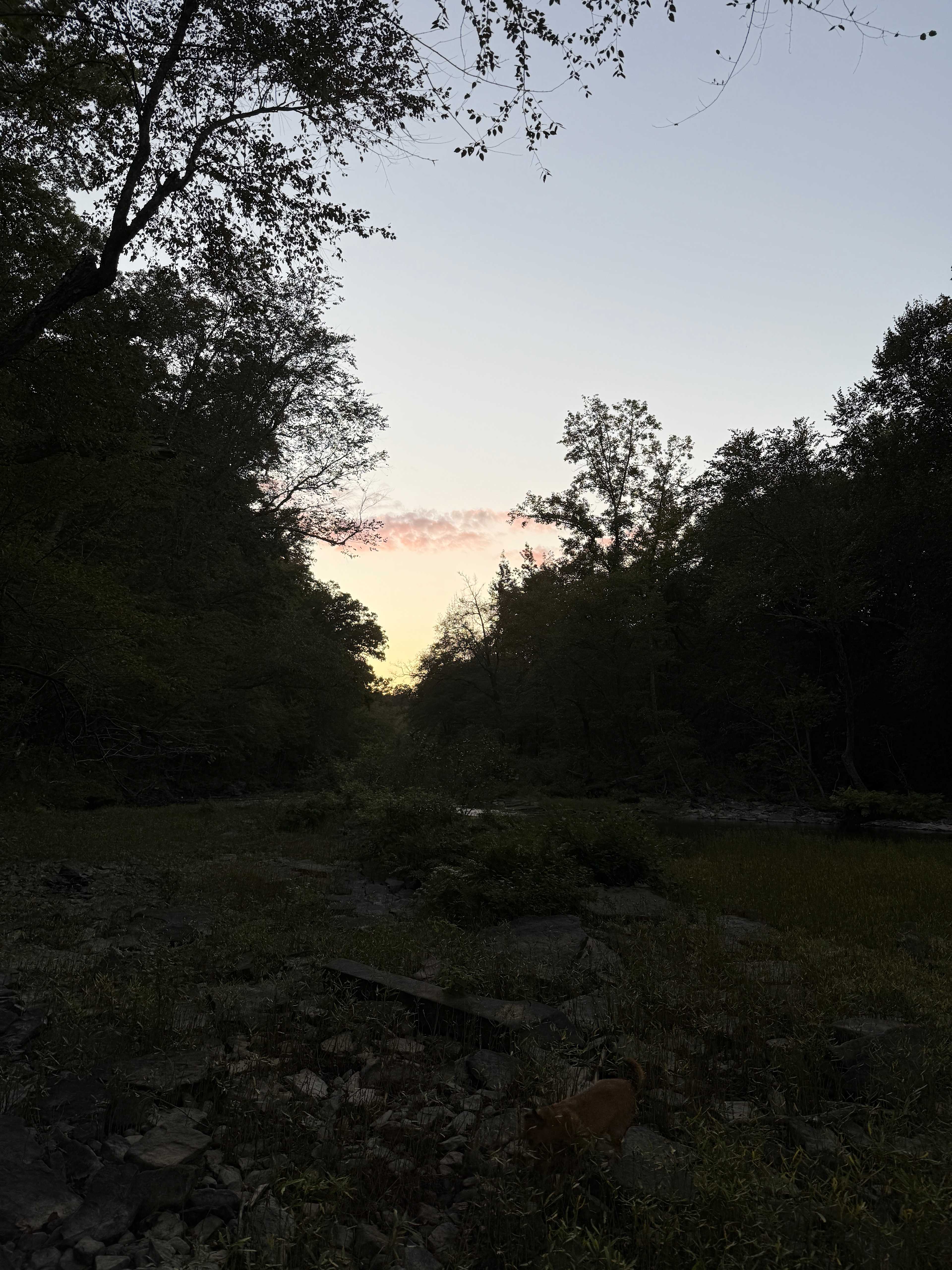 Pinnacle Springs Recreational Park