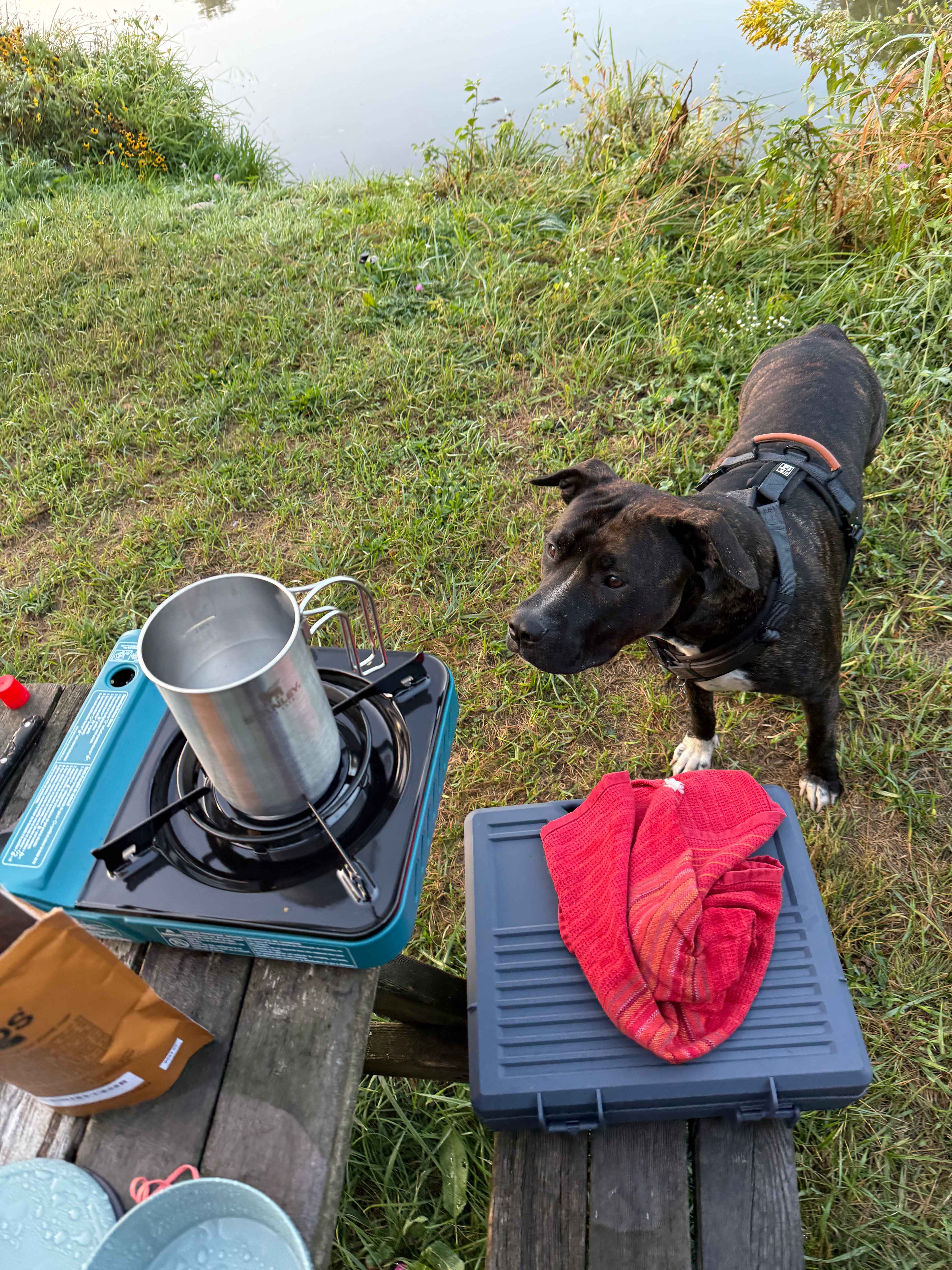 The Pleasant Valley Farm