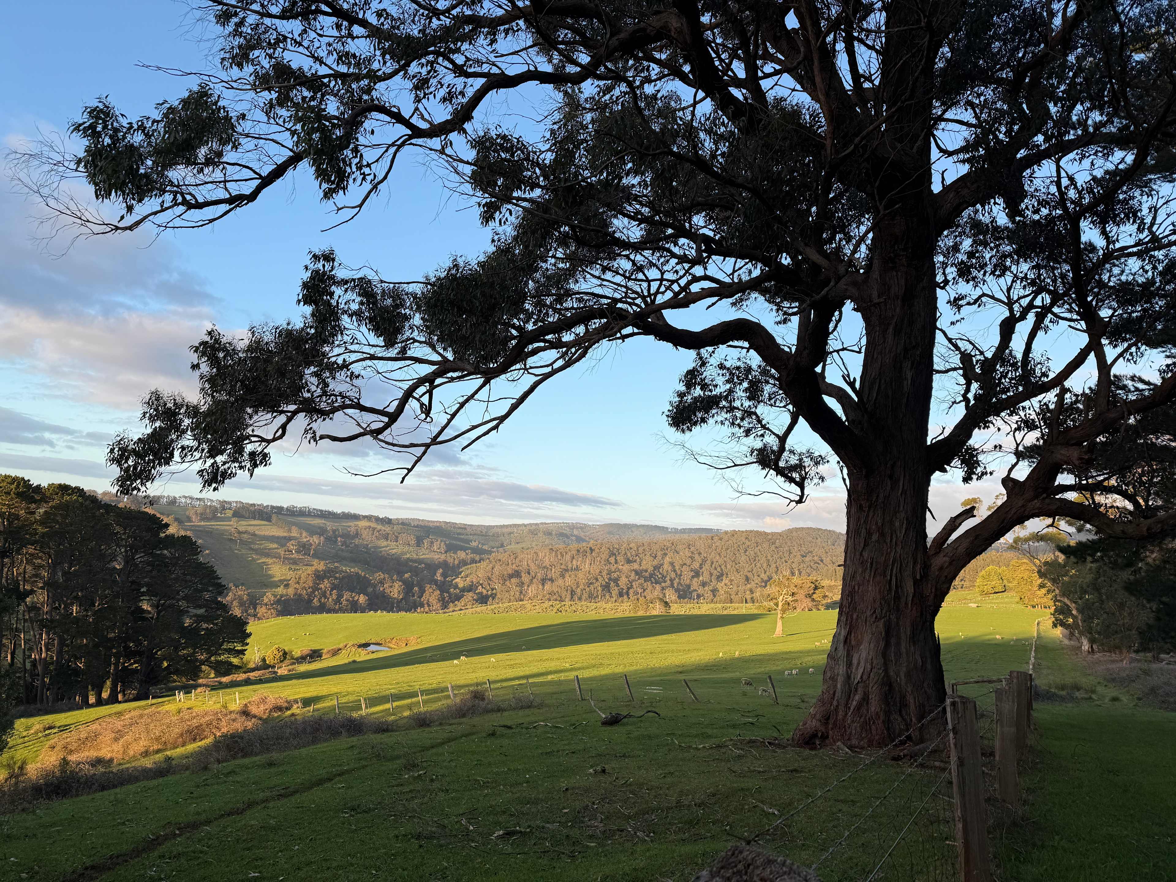 Serenity Hill Camp Grounds