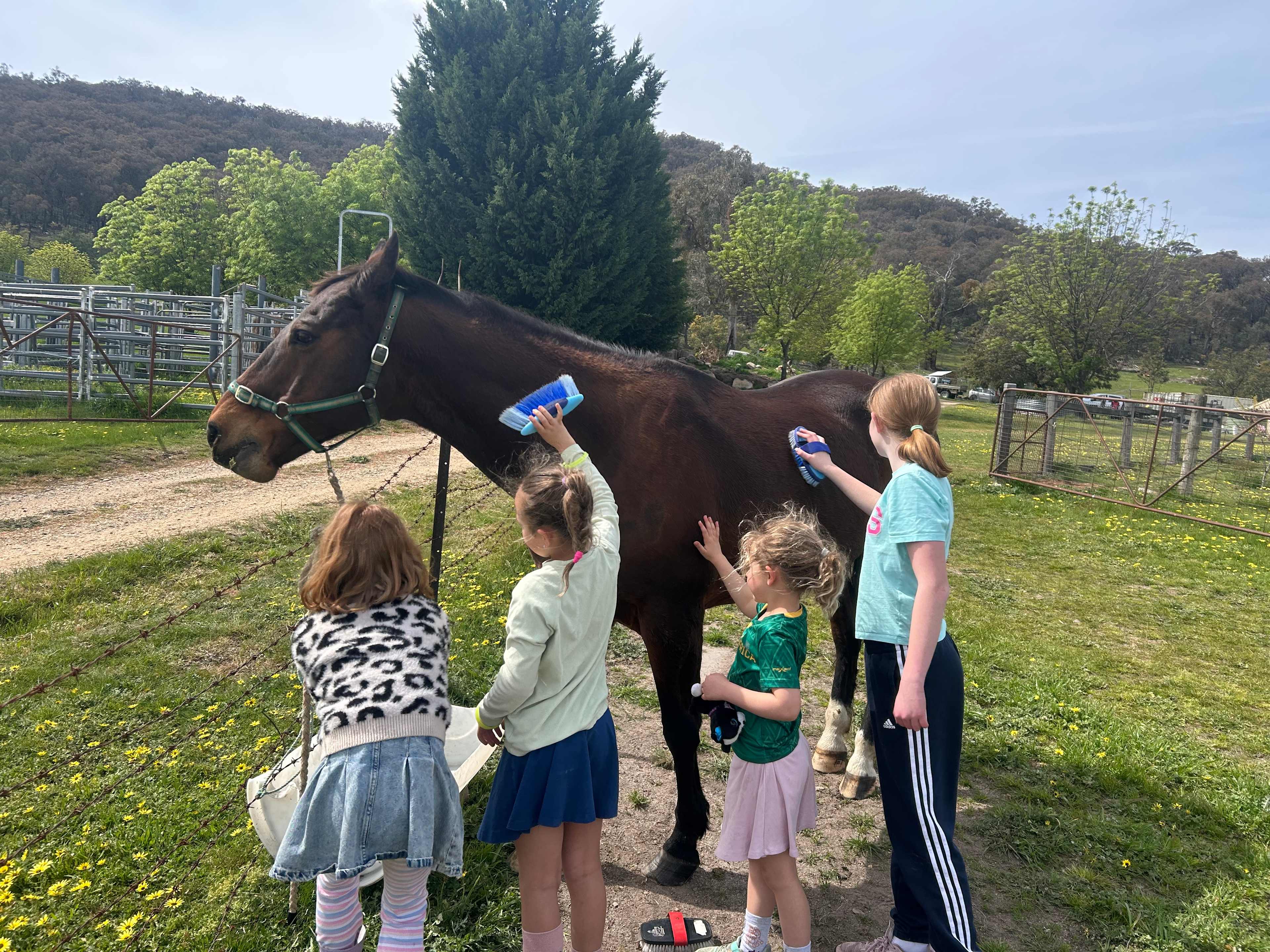 Hunters Spread Farmstay