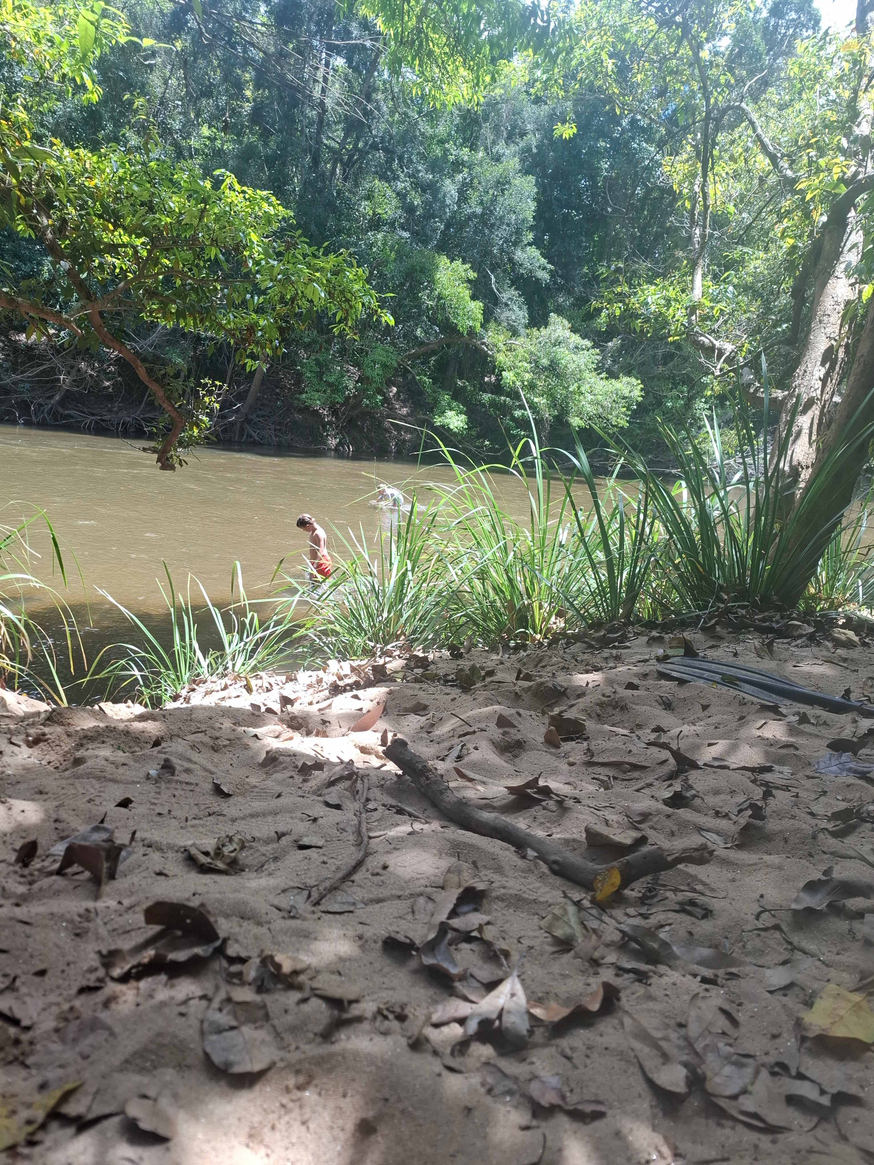 Rusty Pheasant RV Retreat